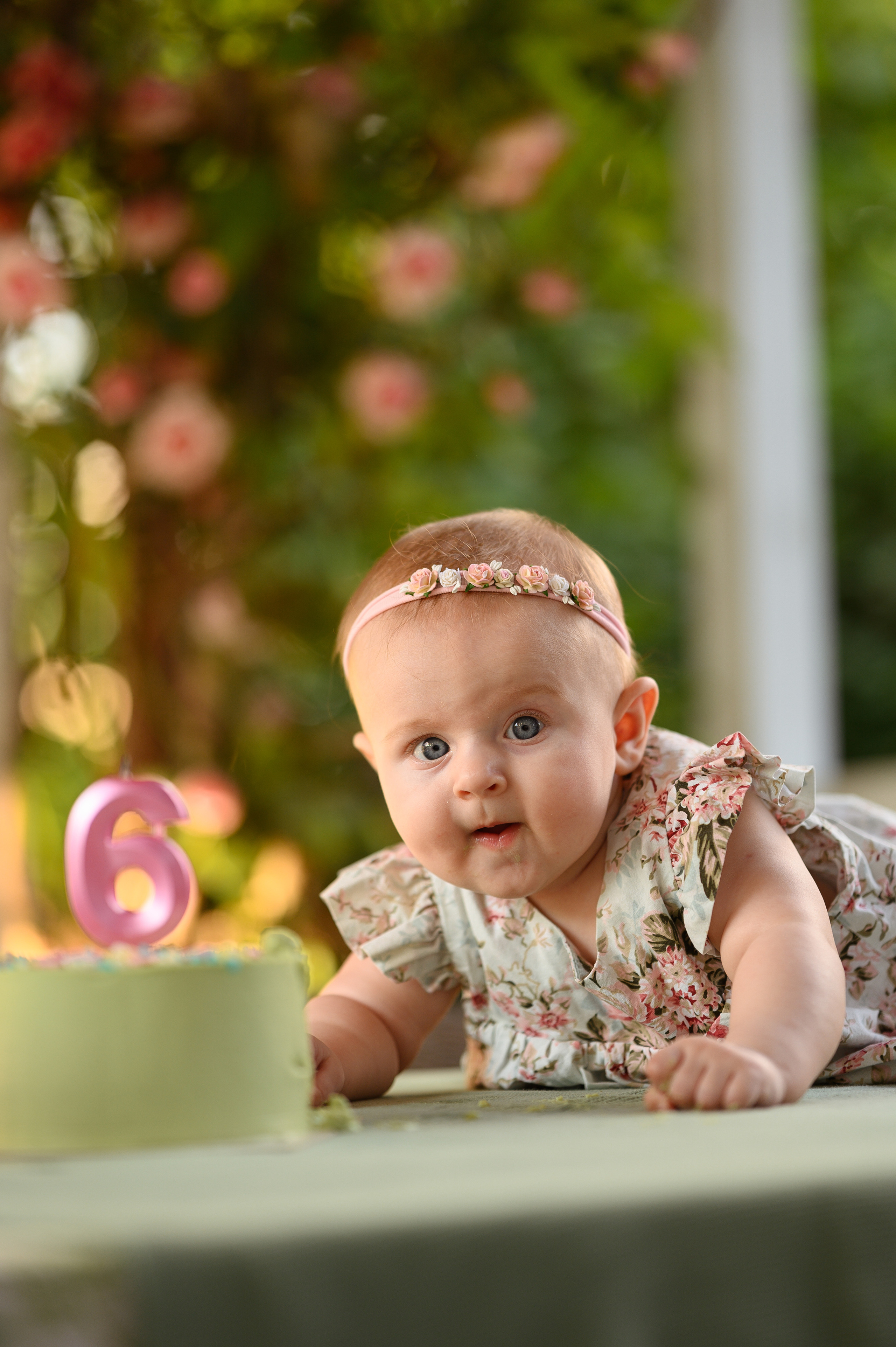 Алисе 6 месяцев. Детский и семейный фотограф Ирина Гладких