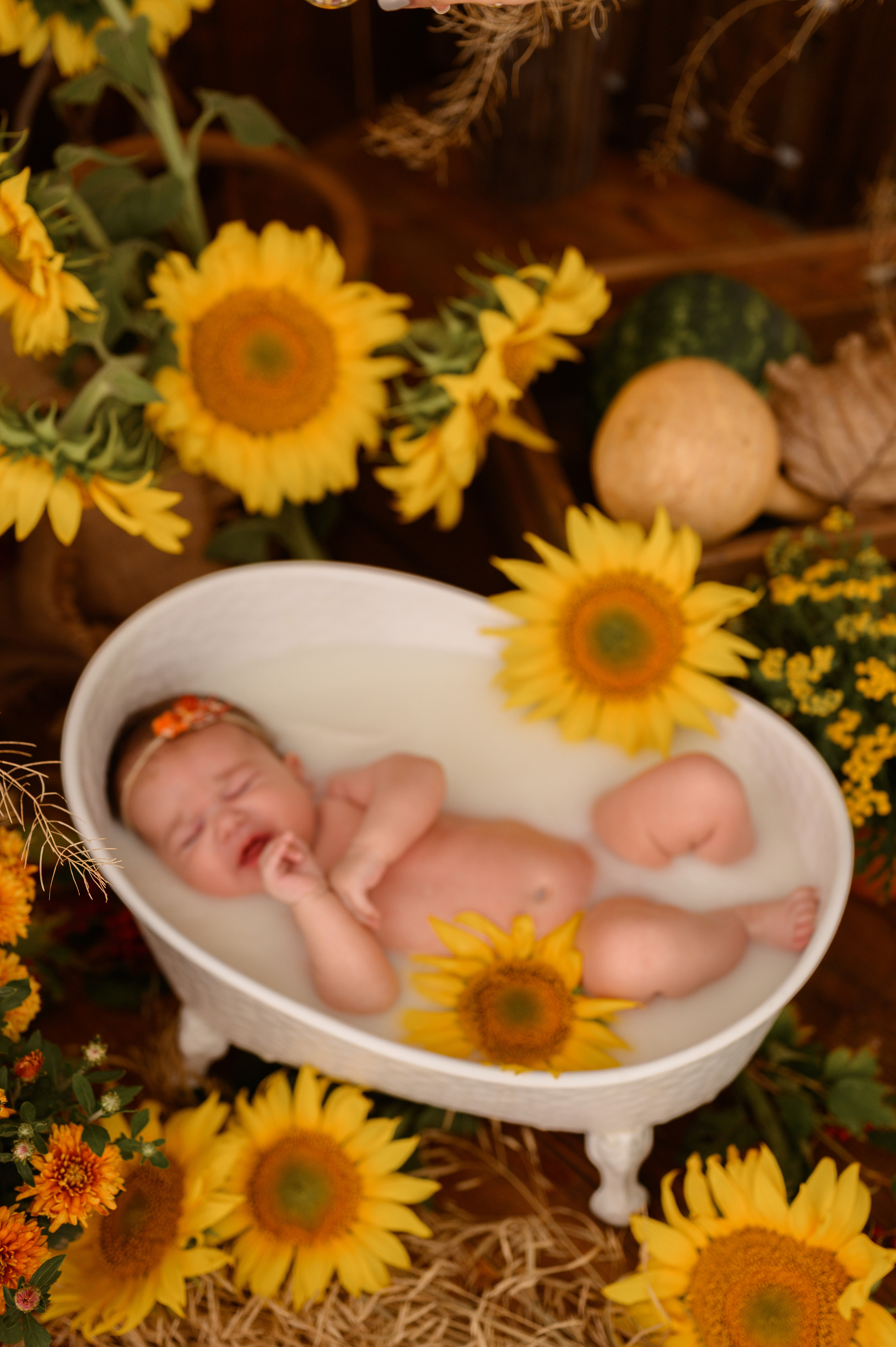 Сашенька и Валюша. Детский и семейный фотограф Ирина Гладких