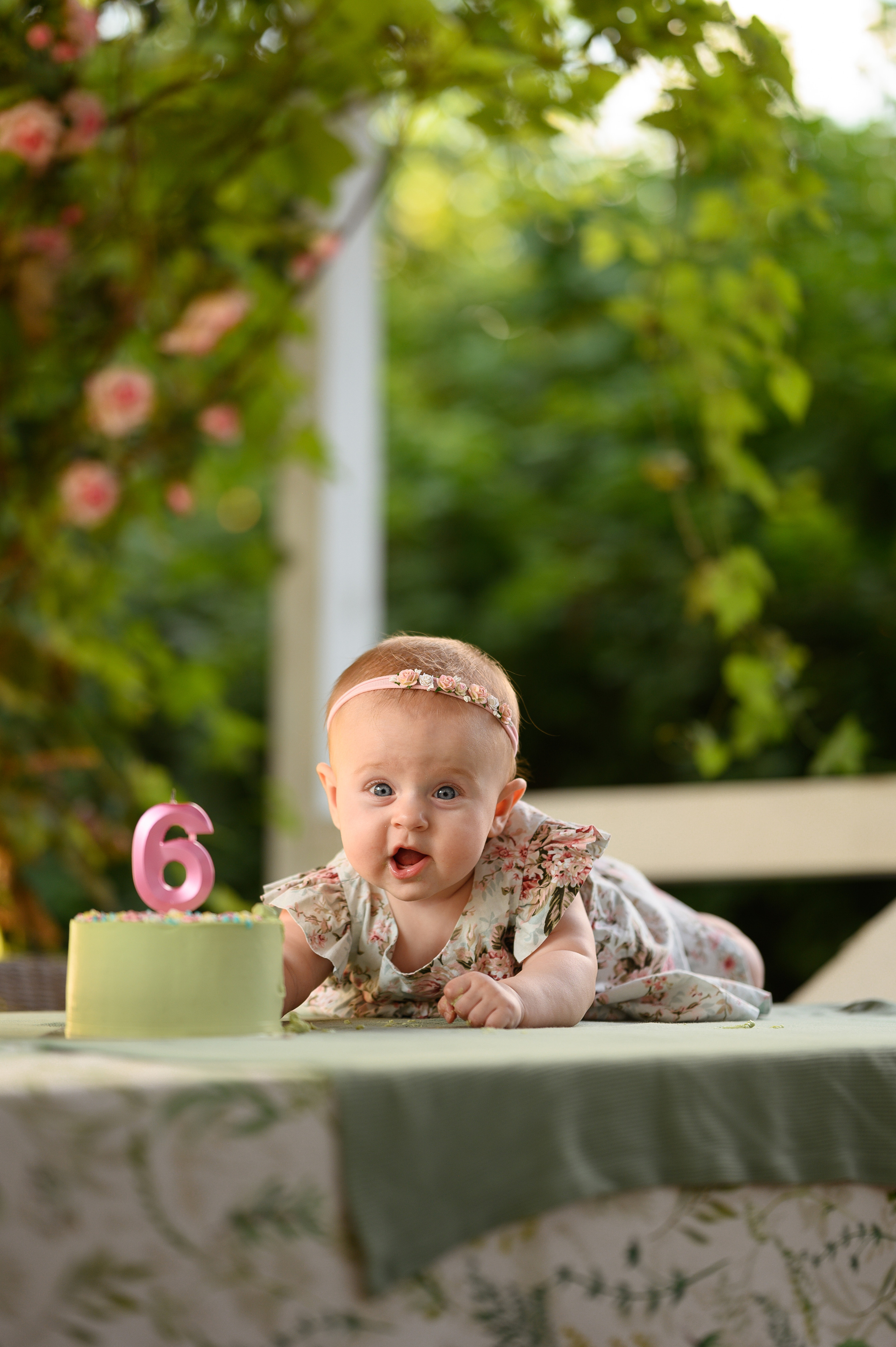 Алисе 6 месяцев. Детский и семейный фотограф Ирина Гладких