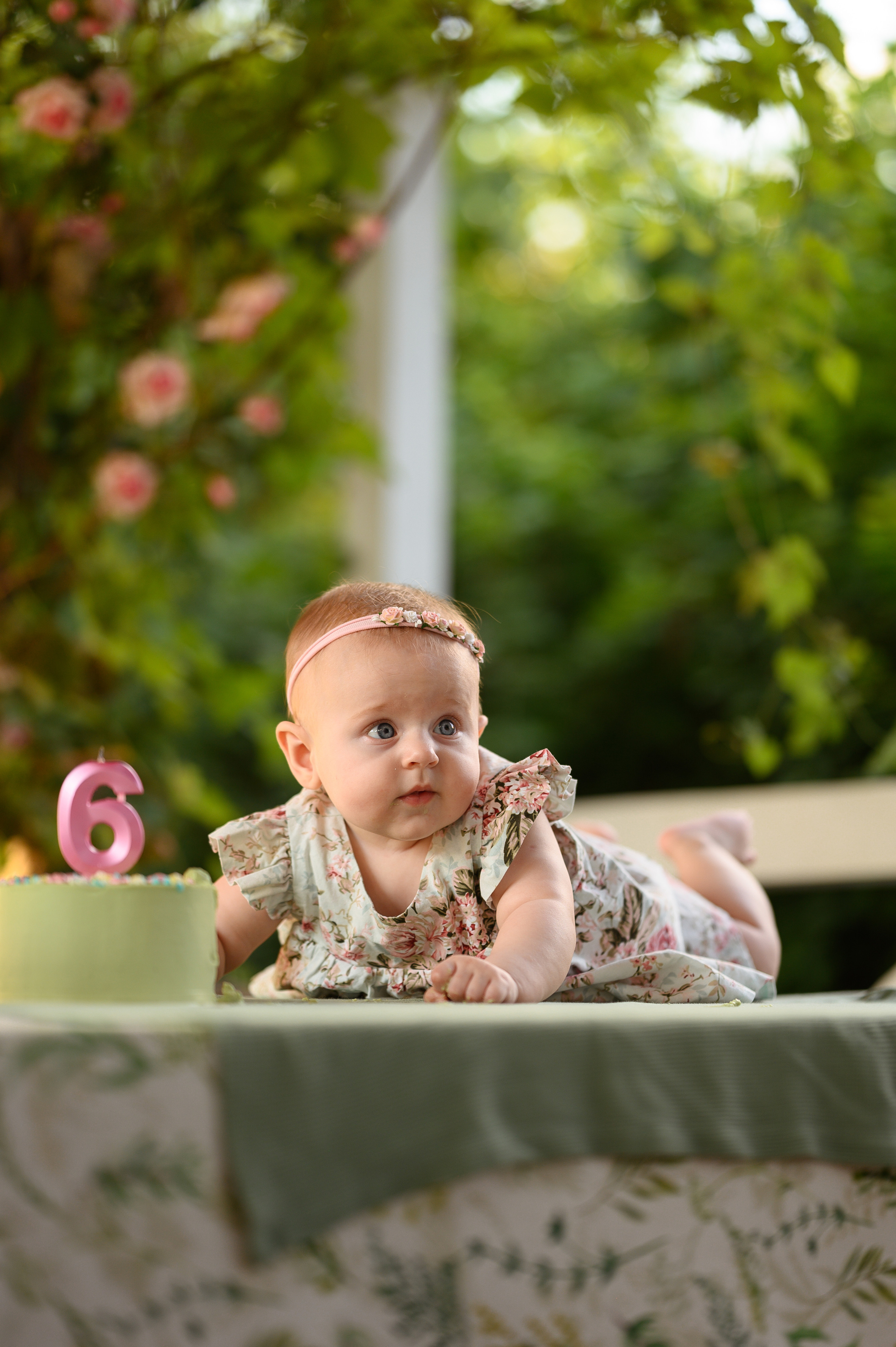 Алисе 6 месяцев. Детский и семейный фотограф Ирина Гладких