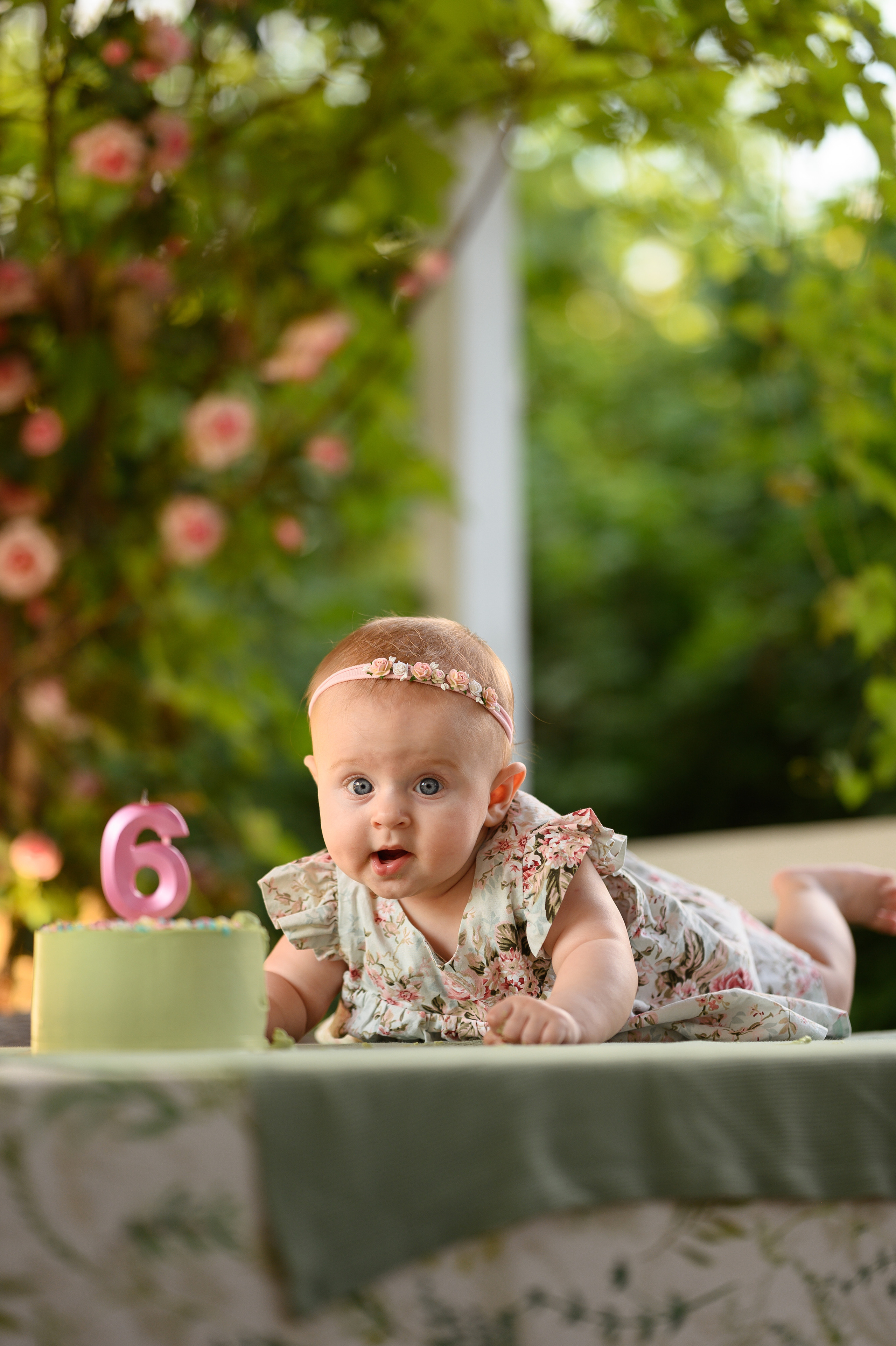 Алисе 6 месяцев. Детский и семейный фотограф Ирина Гладких