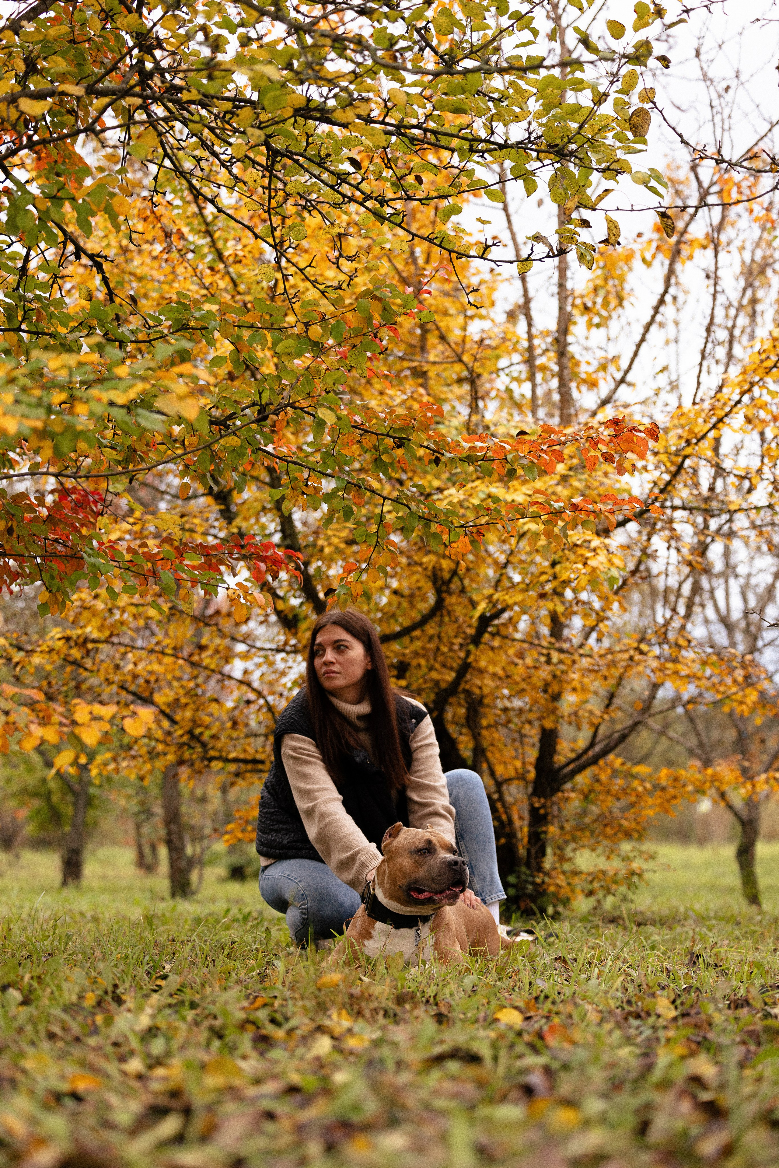 Алена и Тор. Фотограф и видеограф анималист Аганина Дарья
