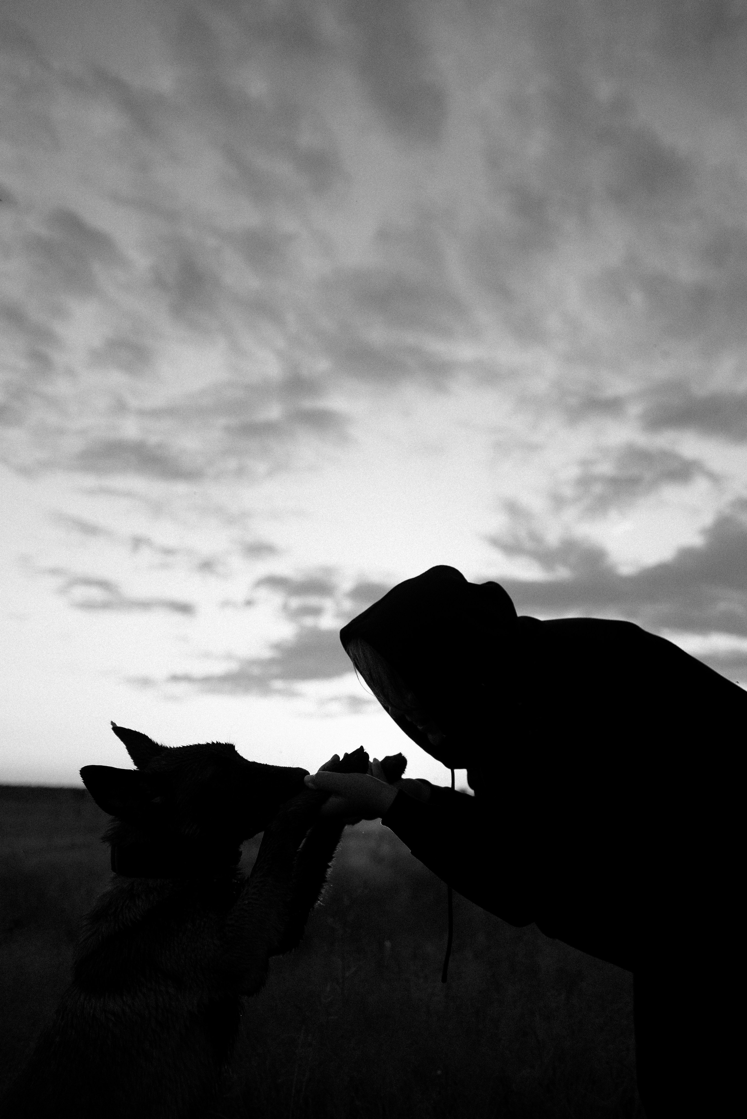 Галина и Лоя. Фотограф и видеограф анималист Аганина Дарья