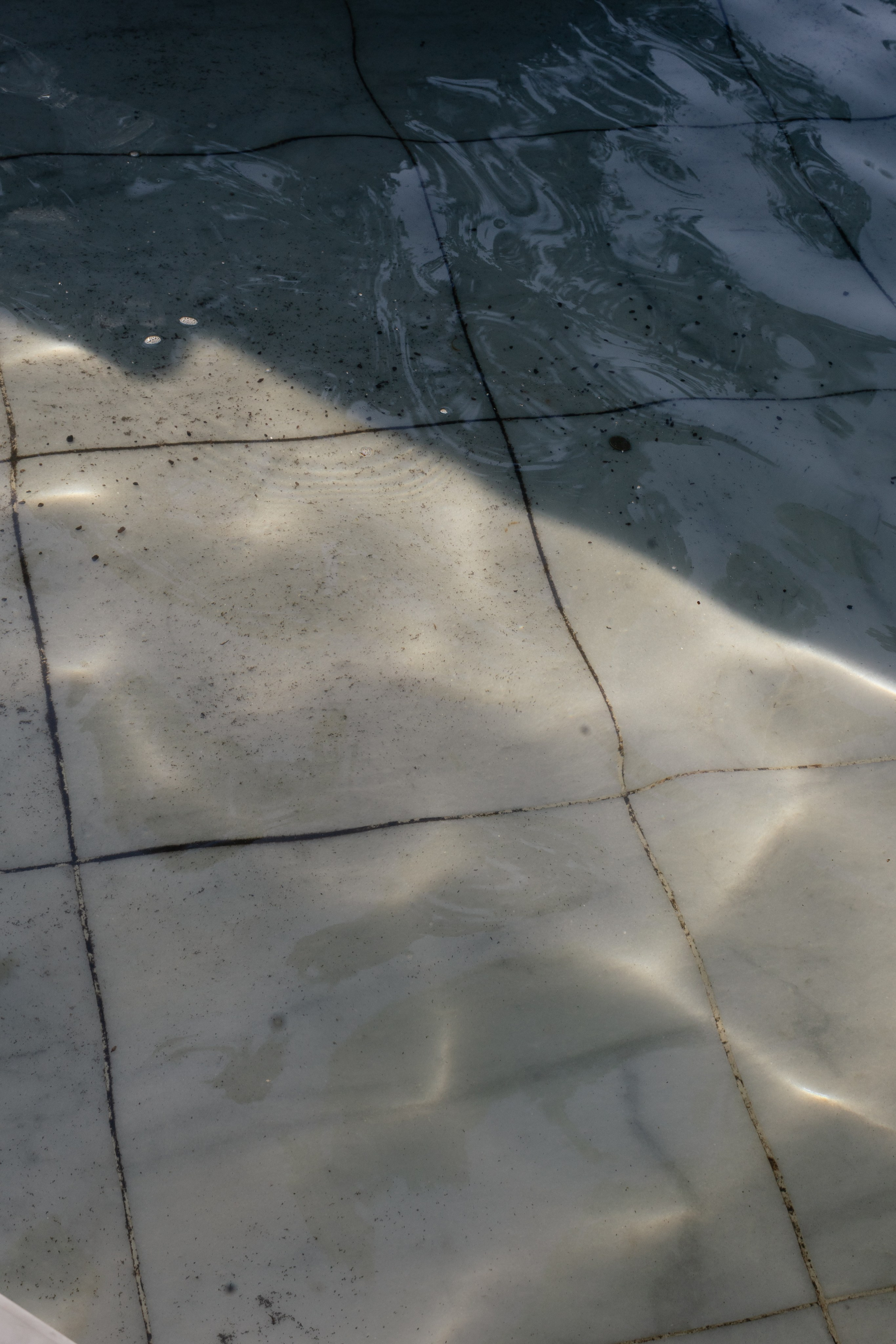 Иван и Мадина. @dariazphoto свадебный фотограф