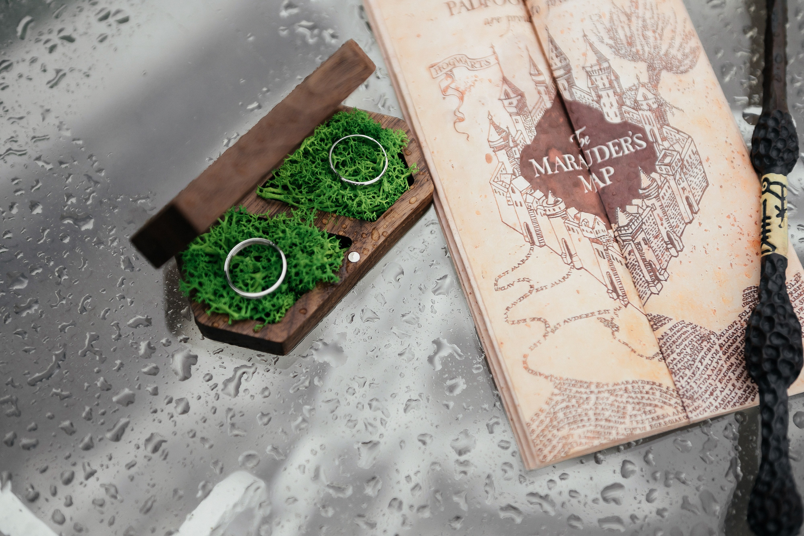 Никита и Софья. Zhulanovilya