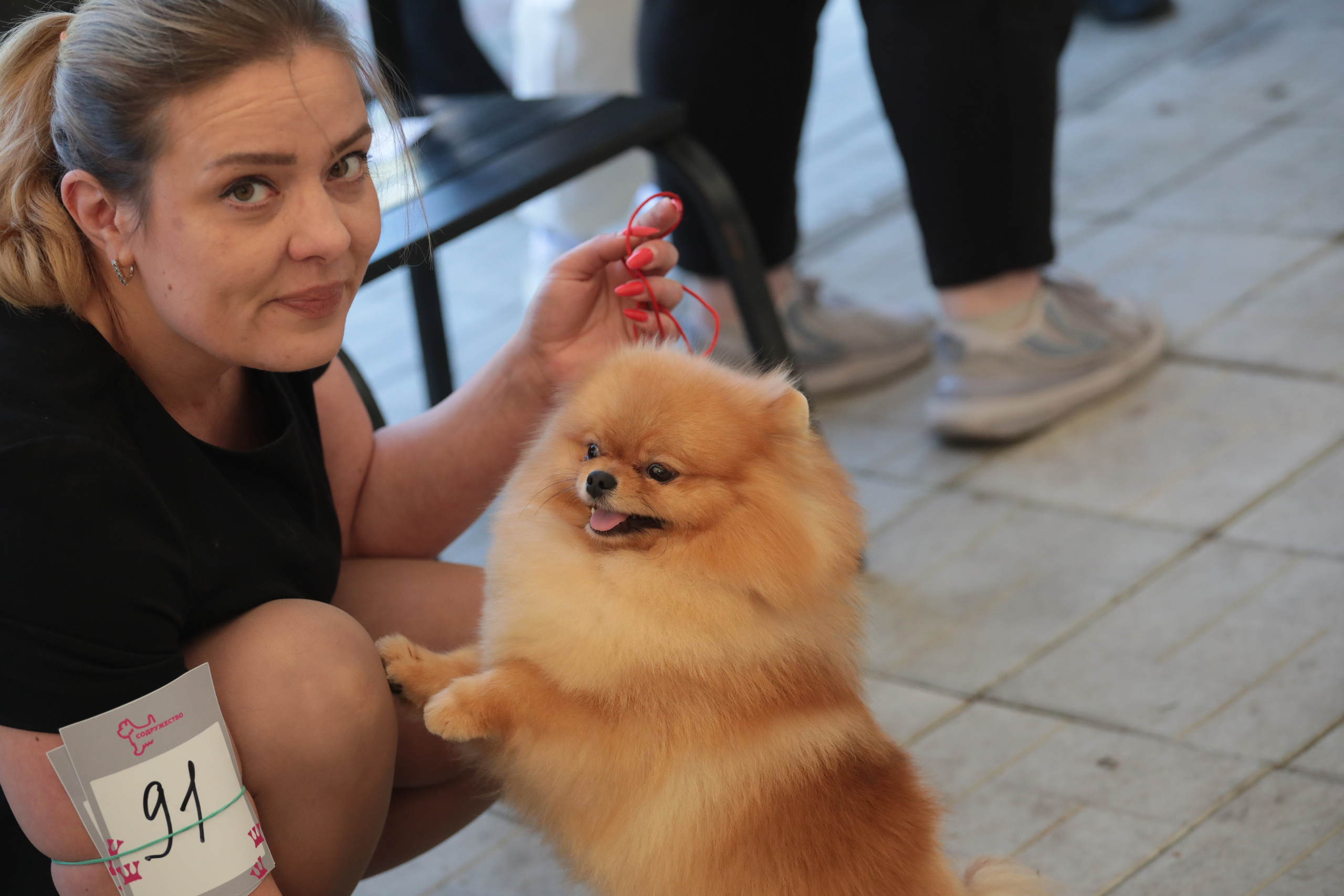 Выставка собак РКФ. Фотограф Екатерина Козловская