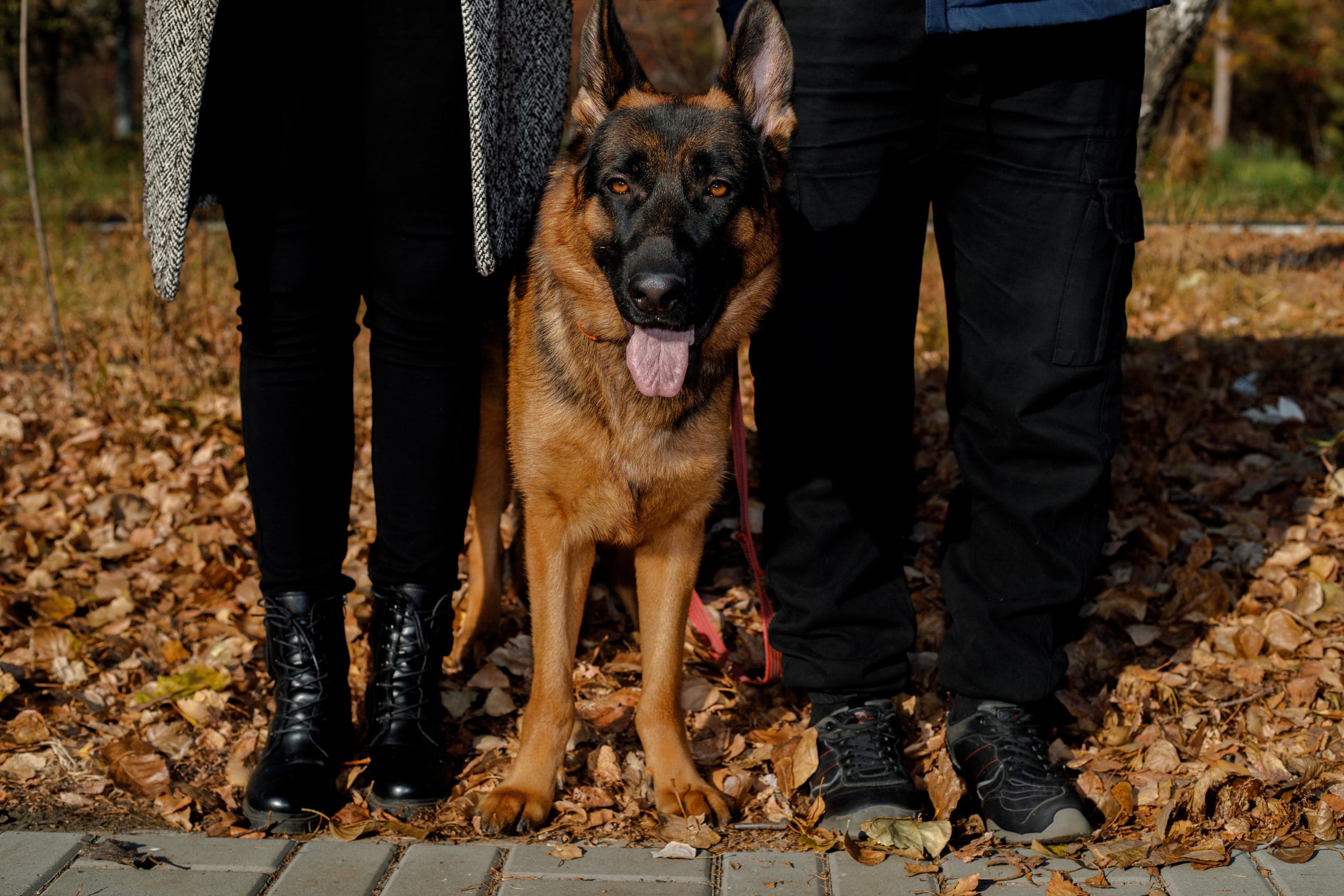 Ди и Джема. Фотограф Екатерина Козловская