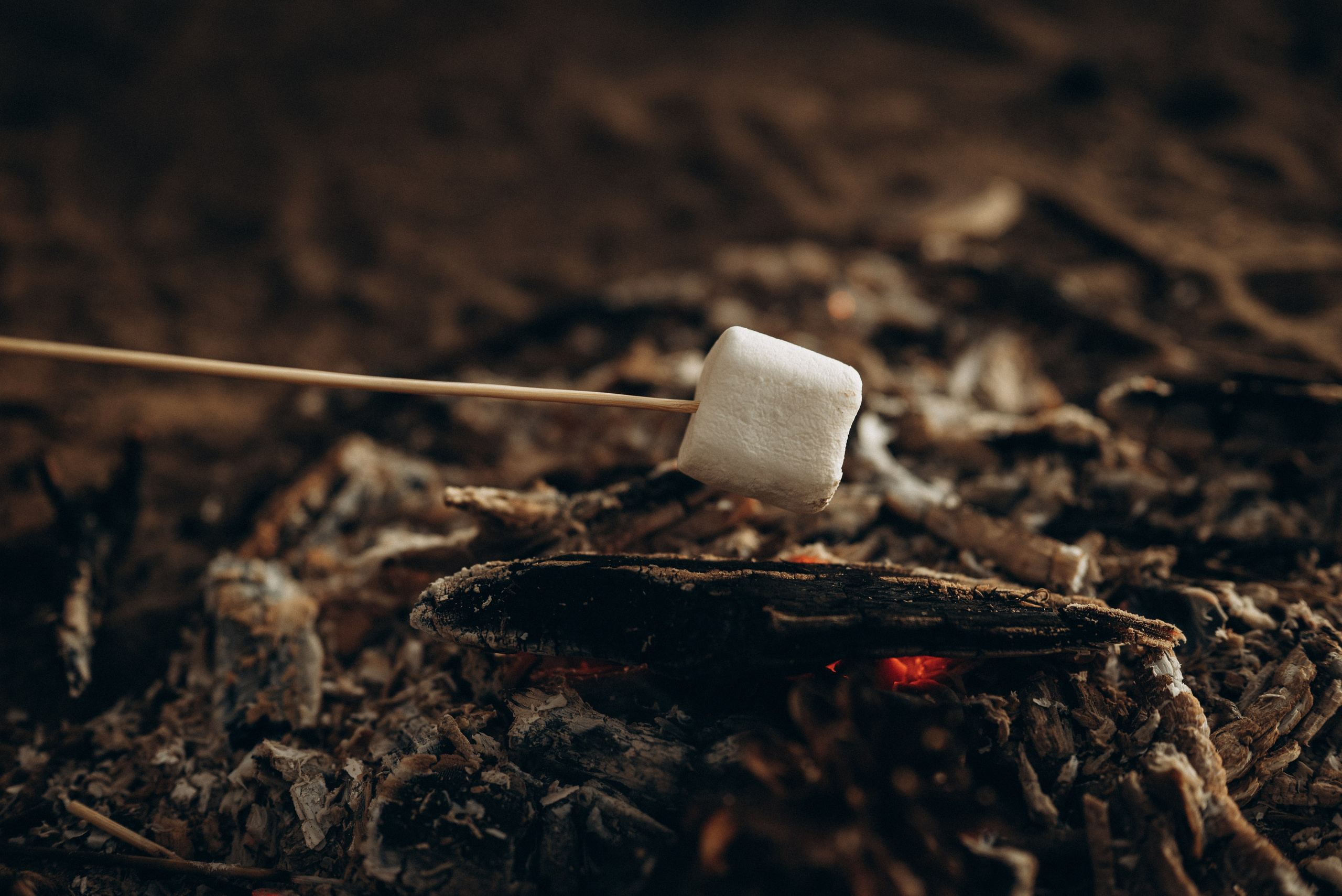 Летним вечером…. Семейный фотограф в Москве Дарья Пузикова