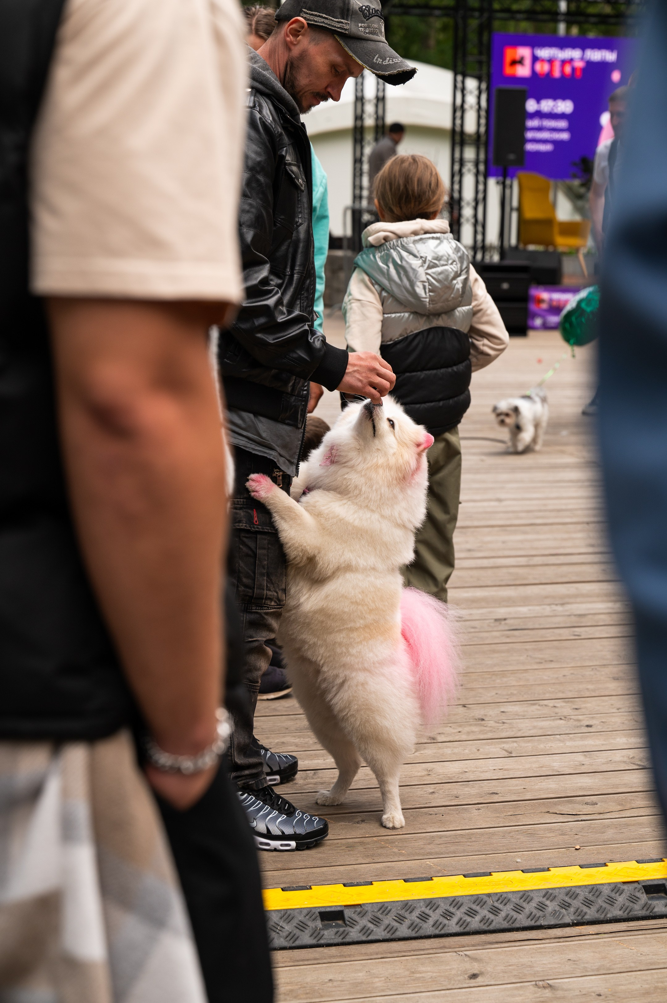 4lapy fest 2025. Photographer in Moscow Anna Chistiakova