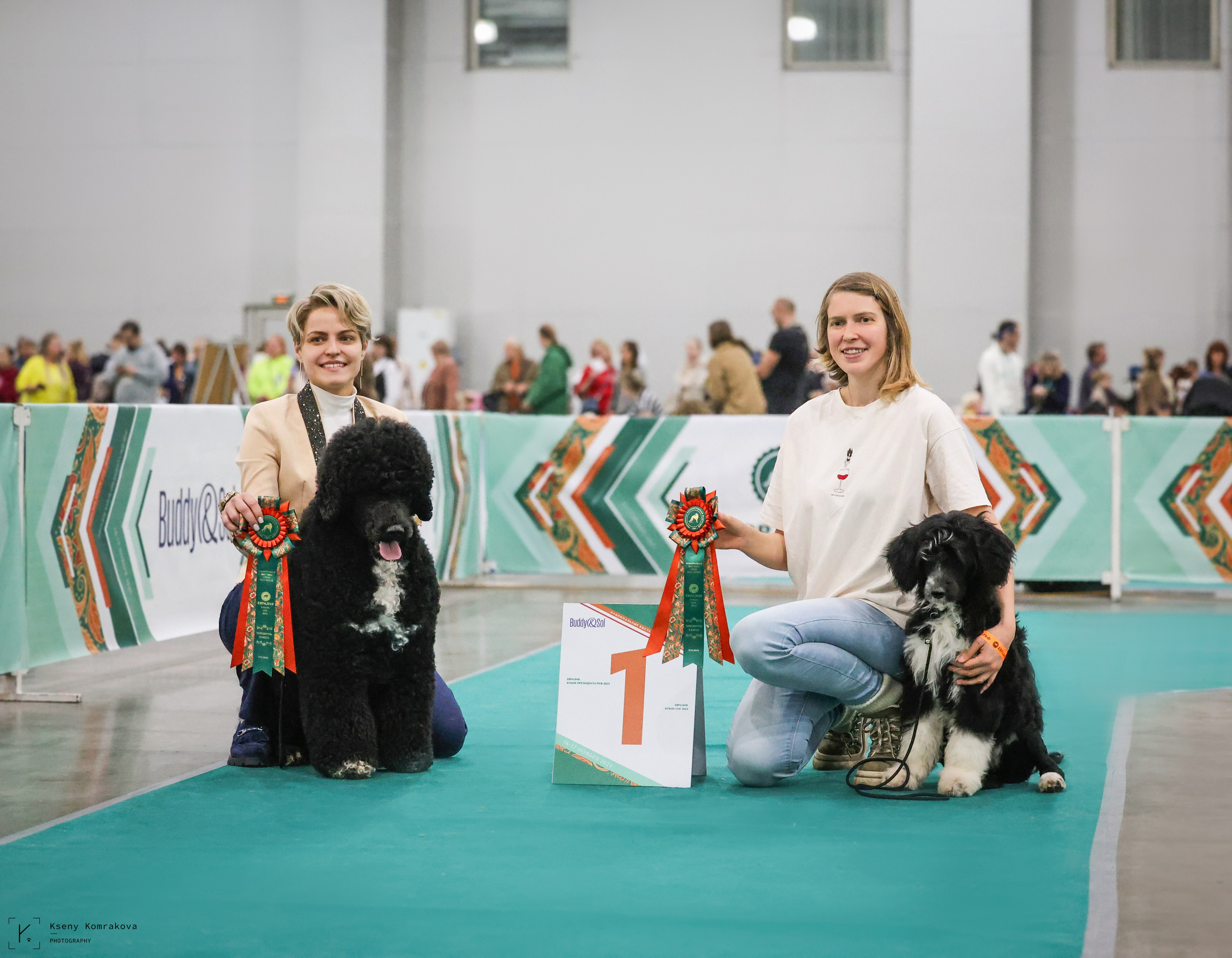 Съемка собак. Анималистика. Репортаж. Индивидуальная съемка