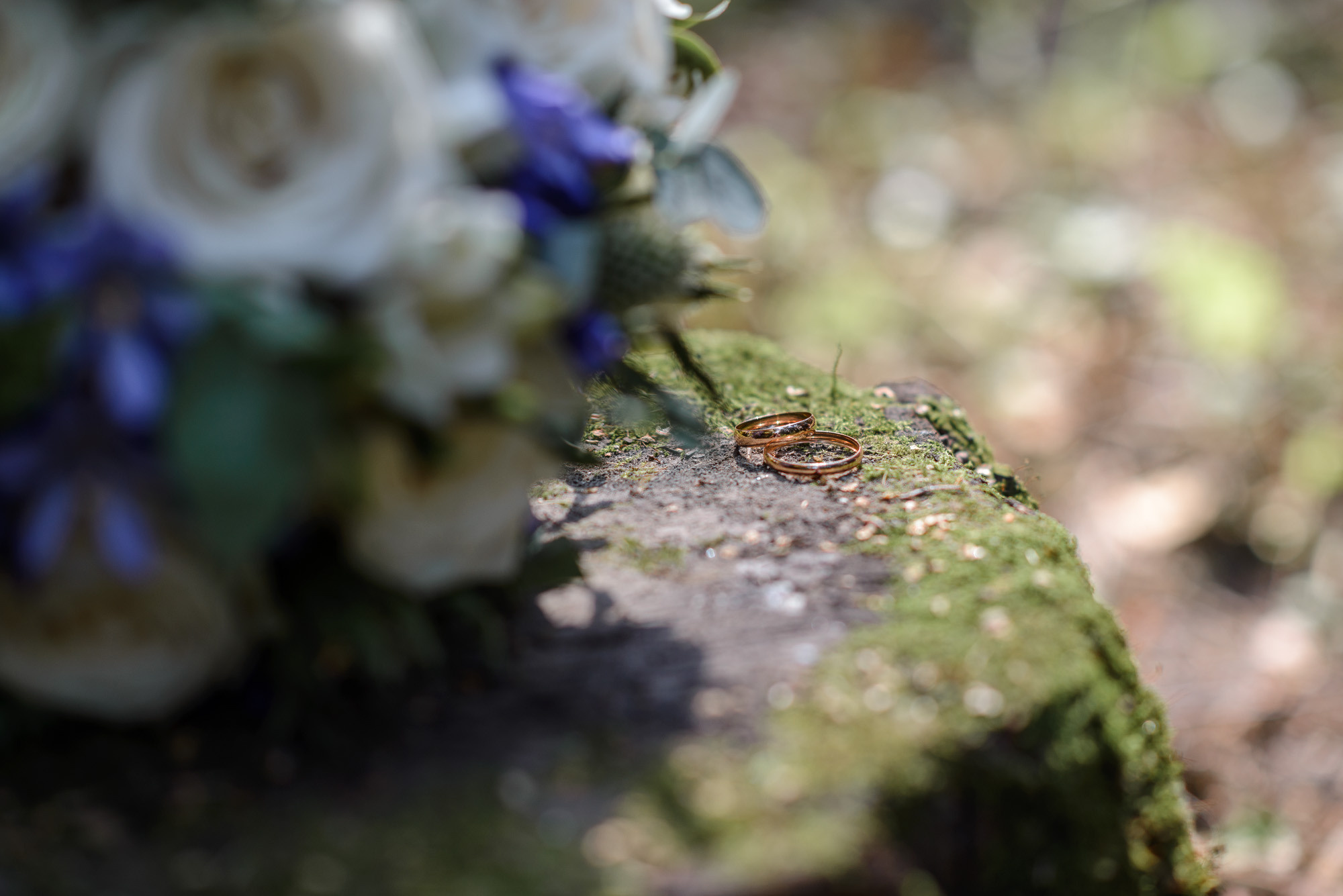 Жаркая свадьба в августе. Семейный фотограф в Домодедово и Москве Елена Пичугина