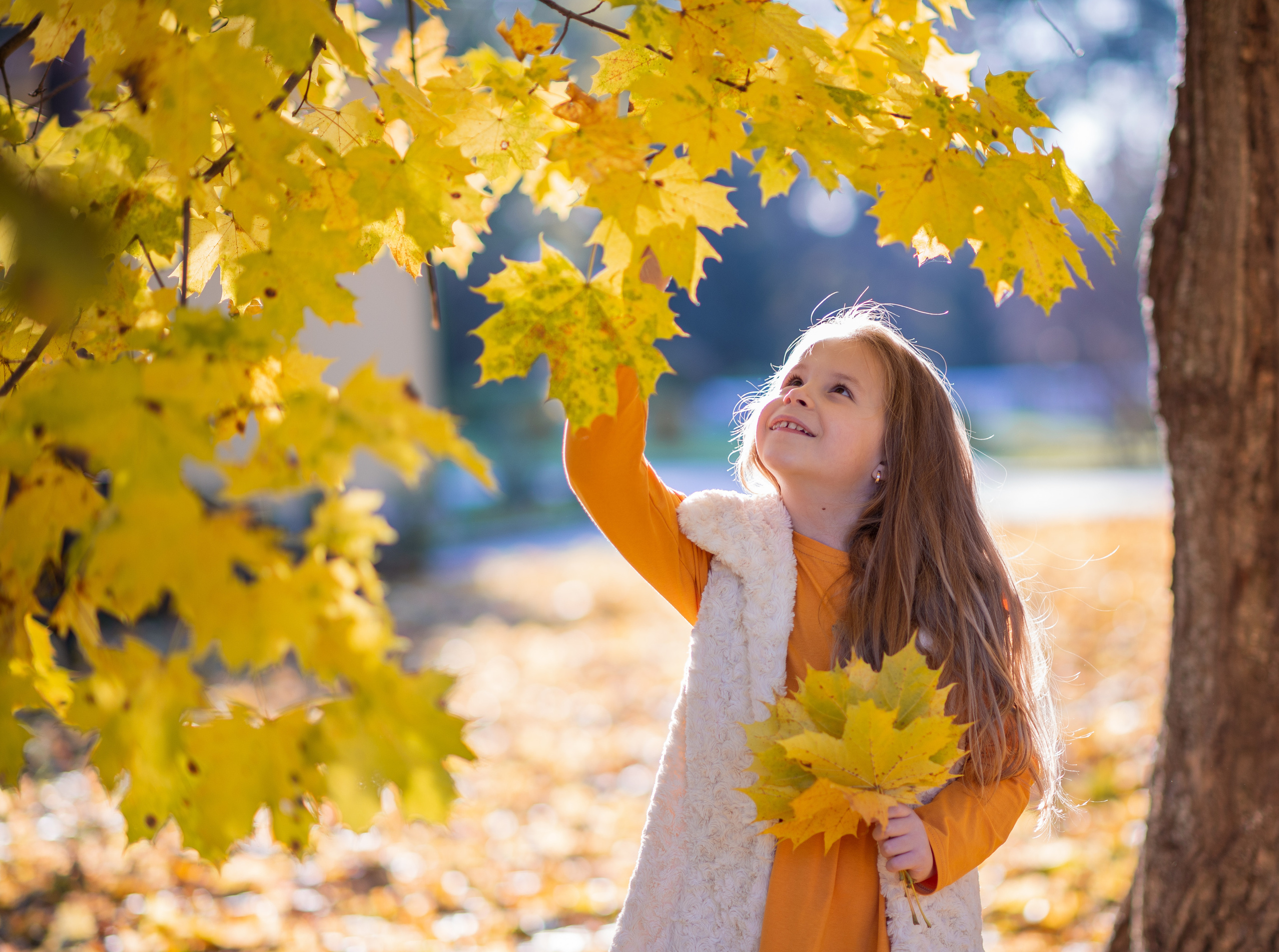 Детская съёмка. Семейный фотограф в Домодедово и Москве Елена Пичугина