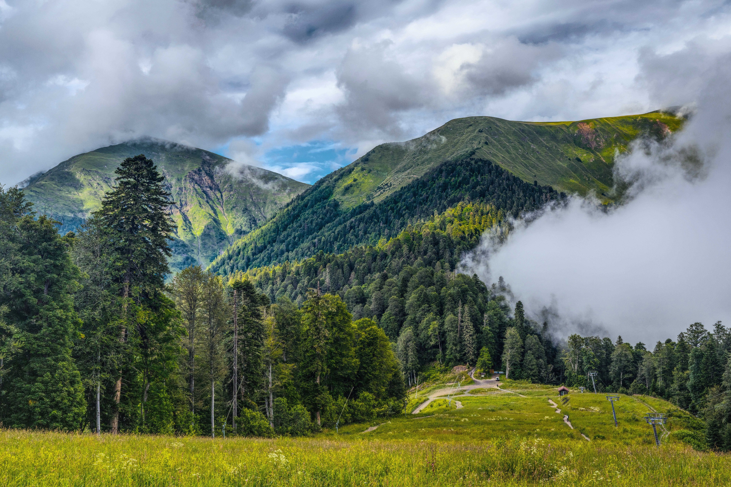 Гроза заходит в урочище Медвежьи ворота, Пейзаж, Алексей Касаткин, Москва, SPC Bronze