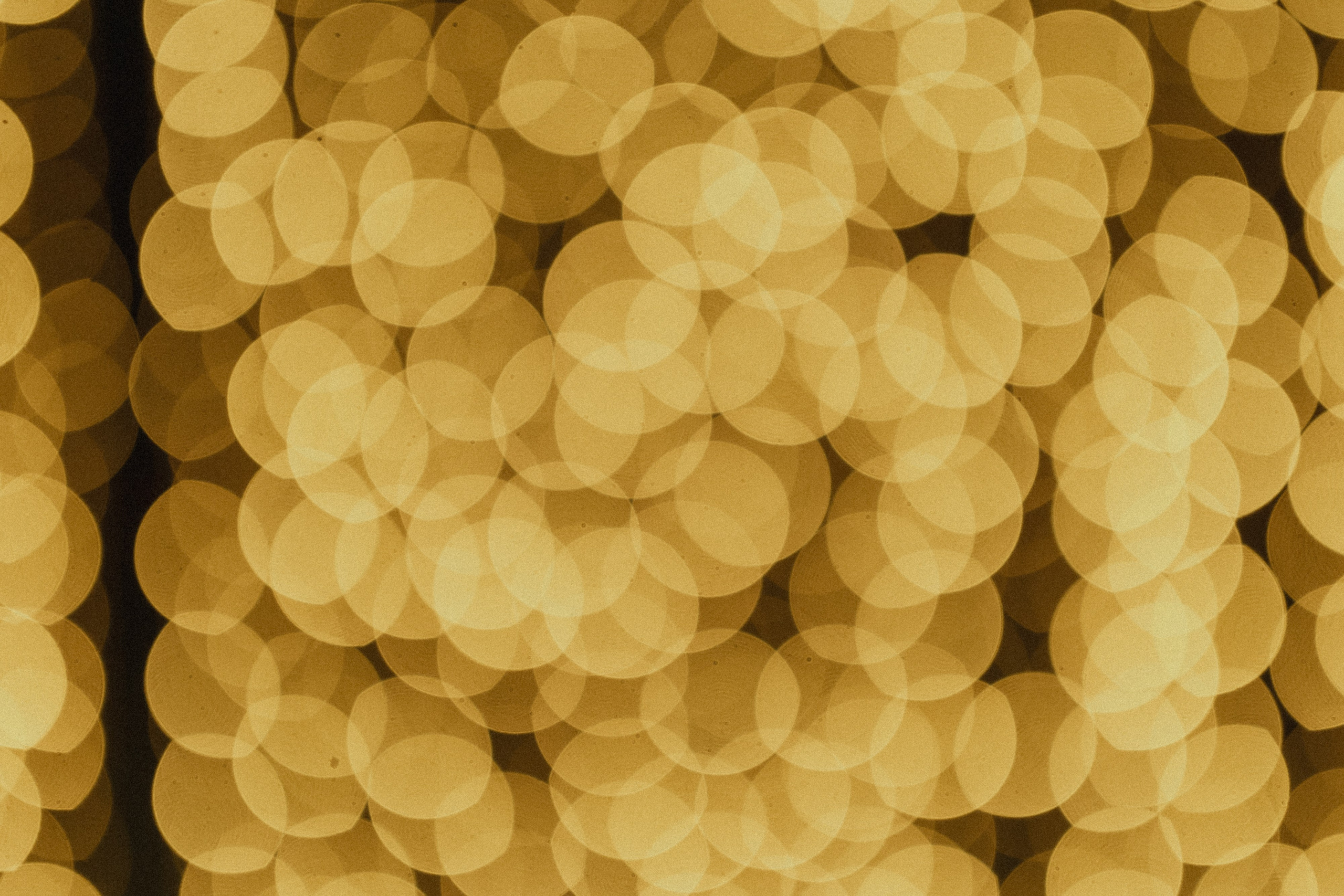 Wedding day Владимир & Алена. Свадебный фотограф Колесников Антон