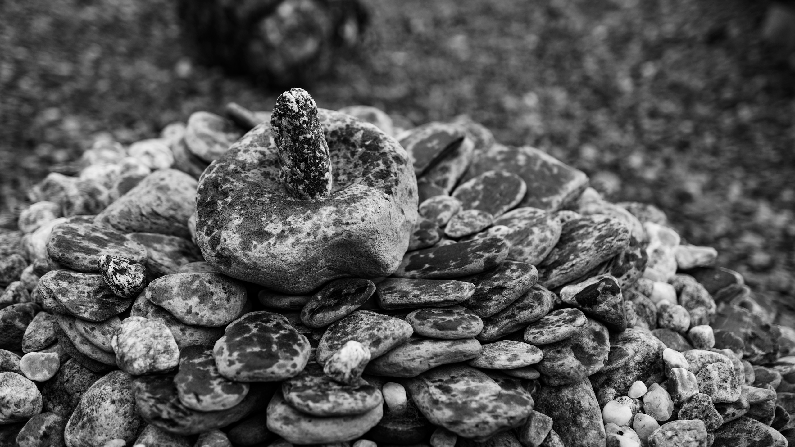 Nature. Фотограф Павел Гранкин, Россия, Москва