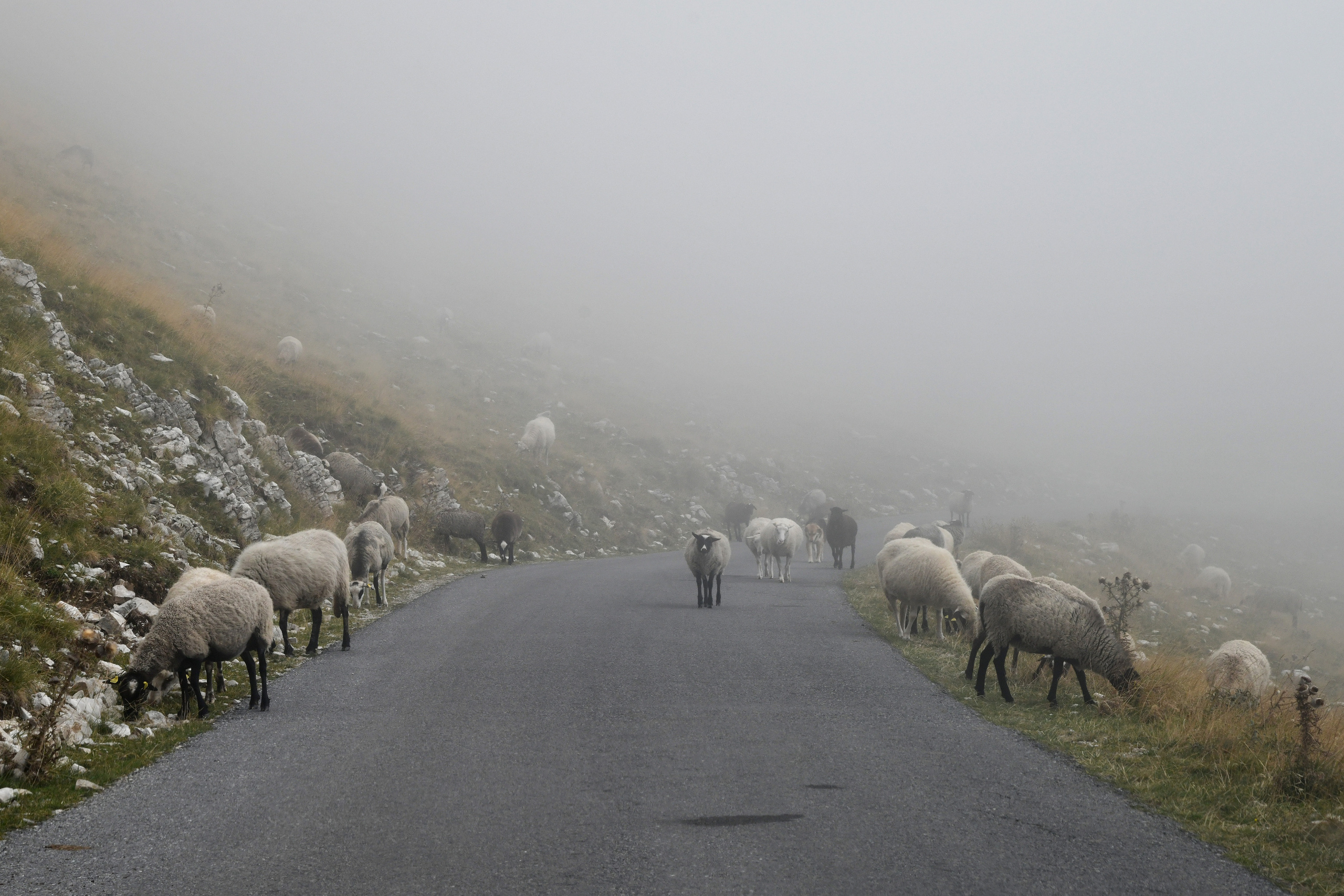 Nature. Фотограф Павел Гранкин, Россия, Москва