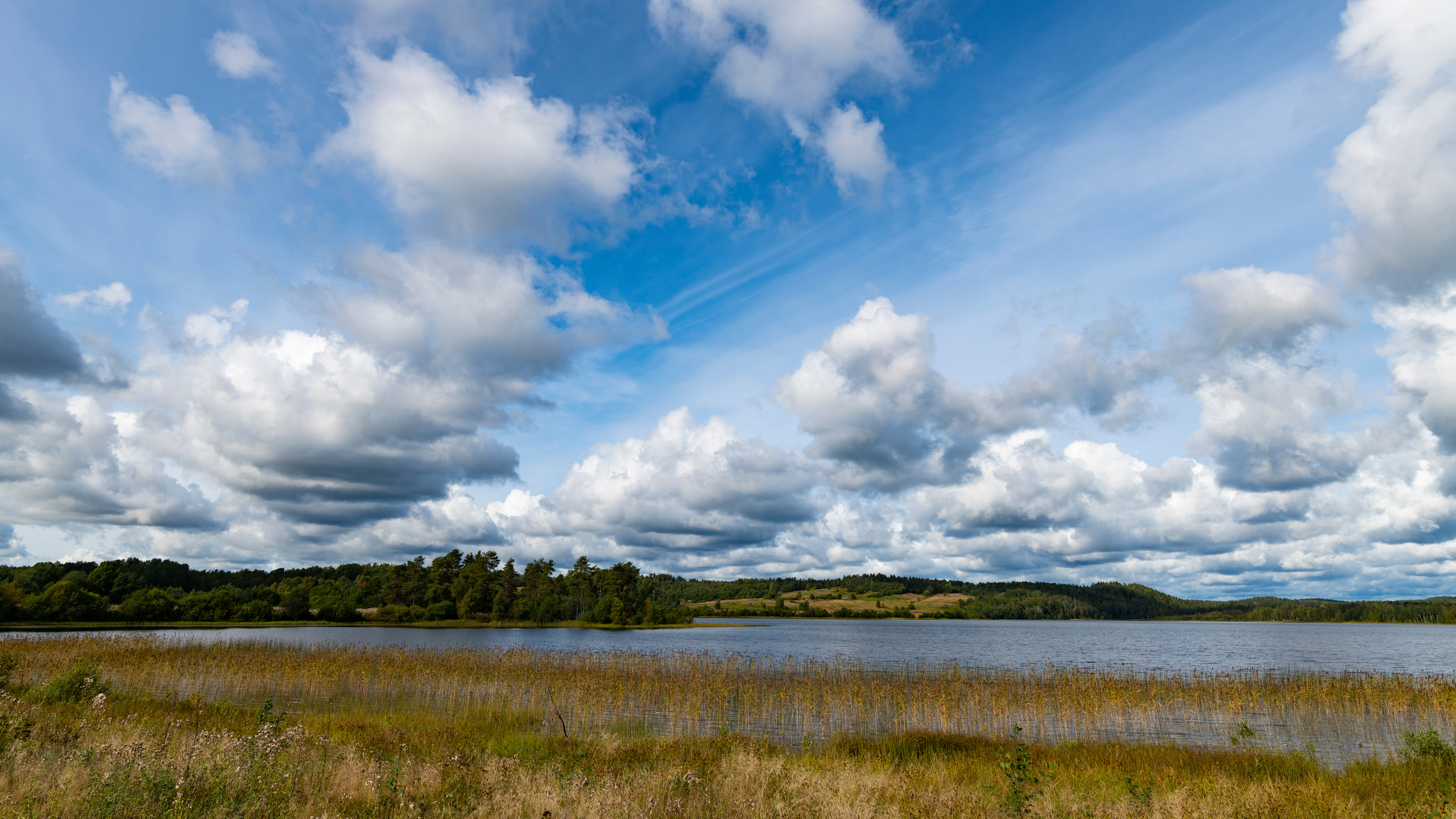 Nature. Фотограф Павел Гранкин, Россия, Москва