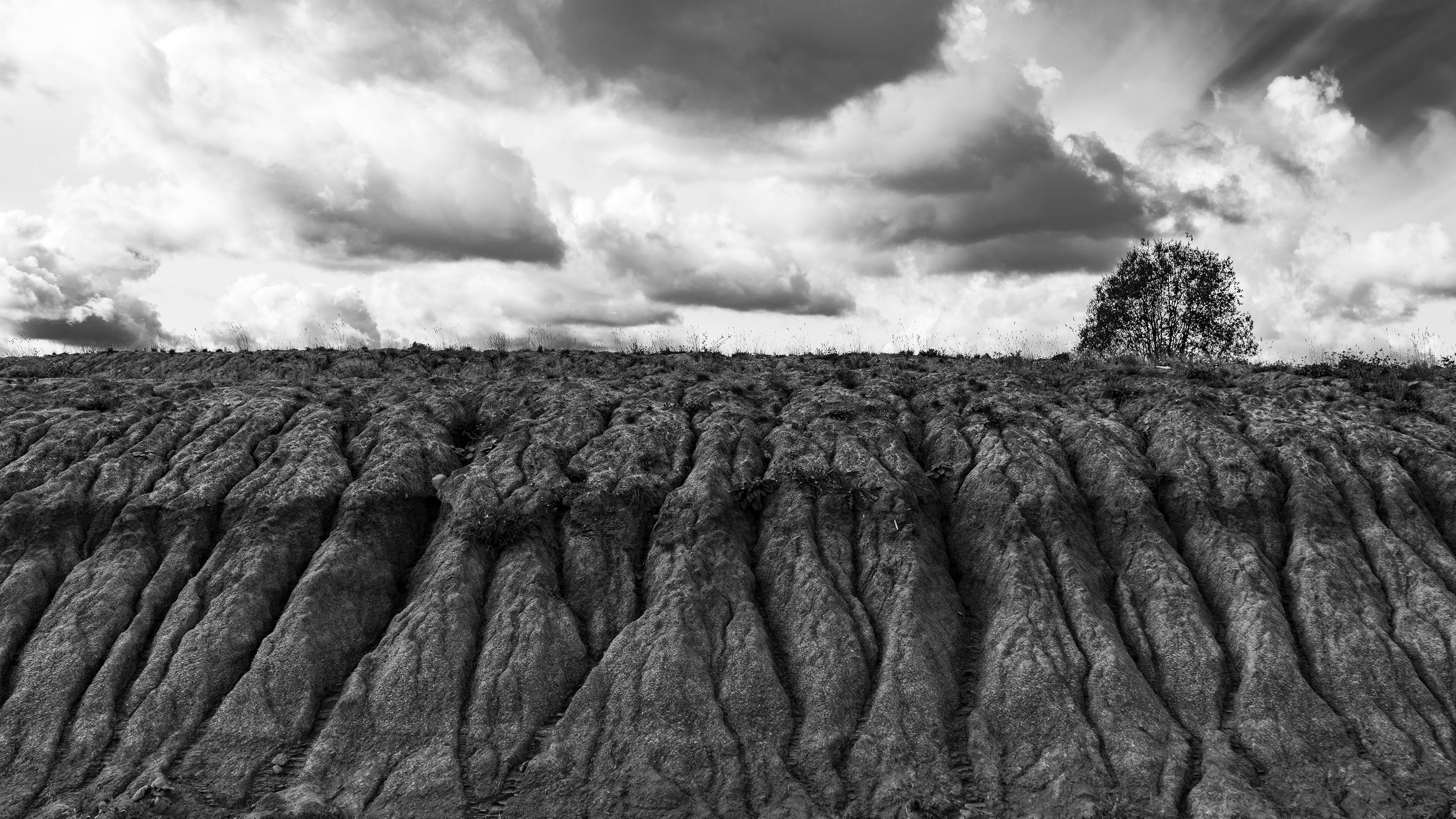 Nature. Фотограф Павел Гранкин, Россия, Москва