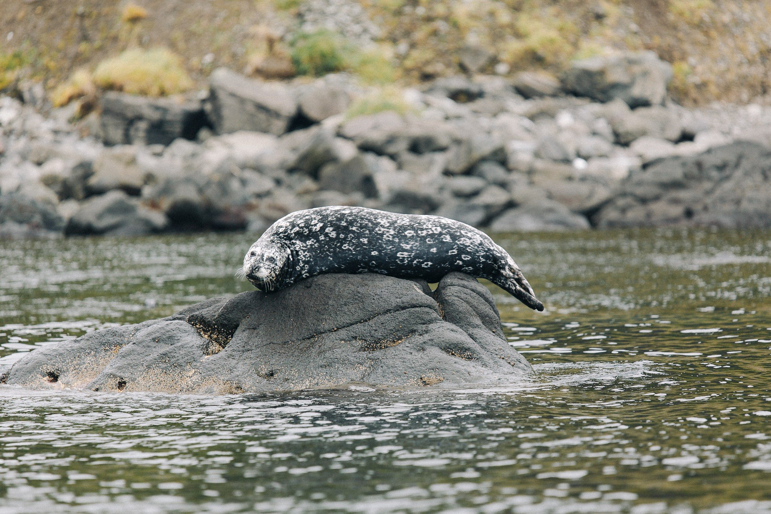 Сахалин (Итуруп)