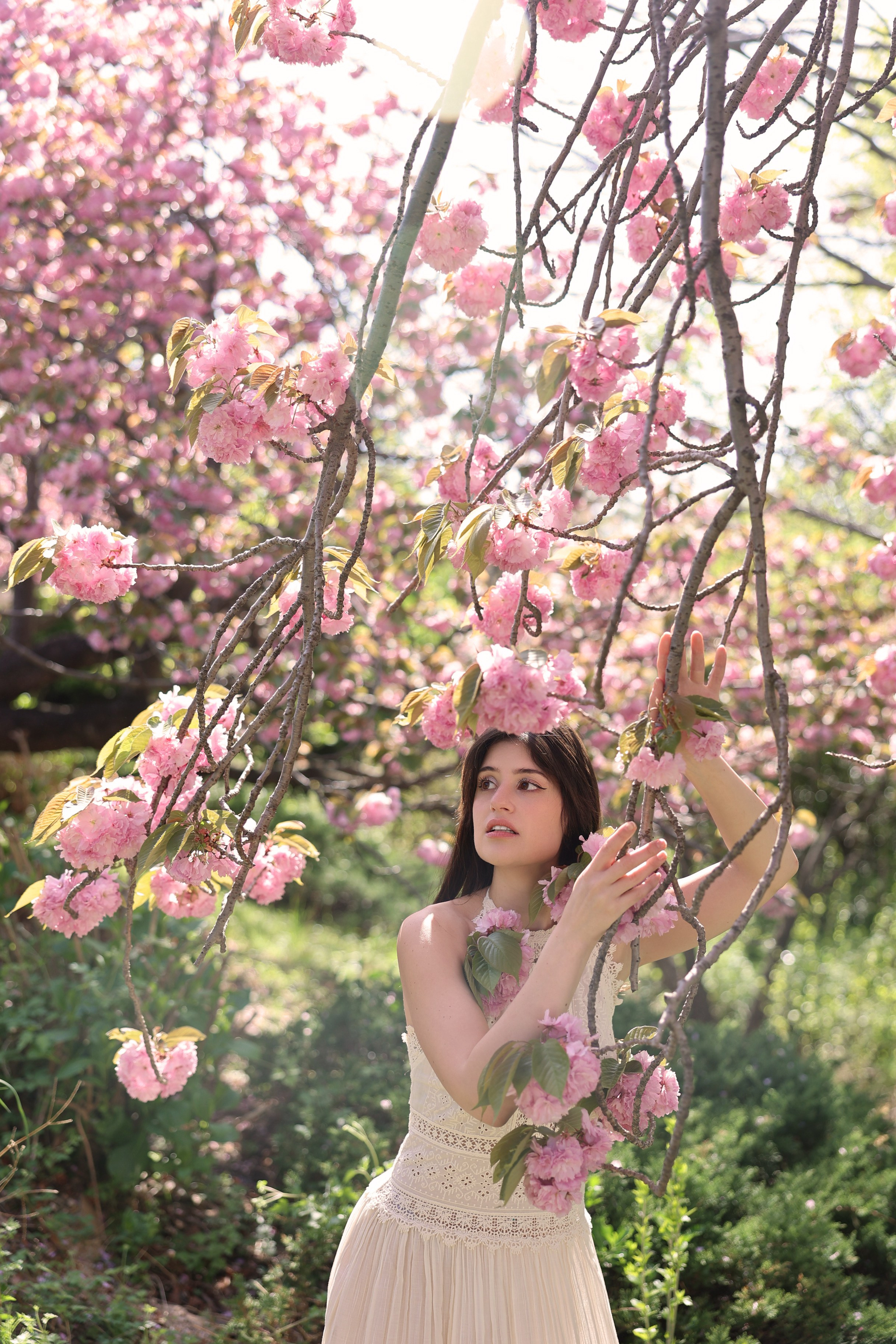 Busan Photographer. Photographer in Busan | Royal Cherry Blossom Solo Photoshoot