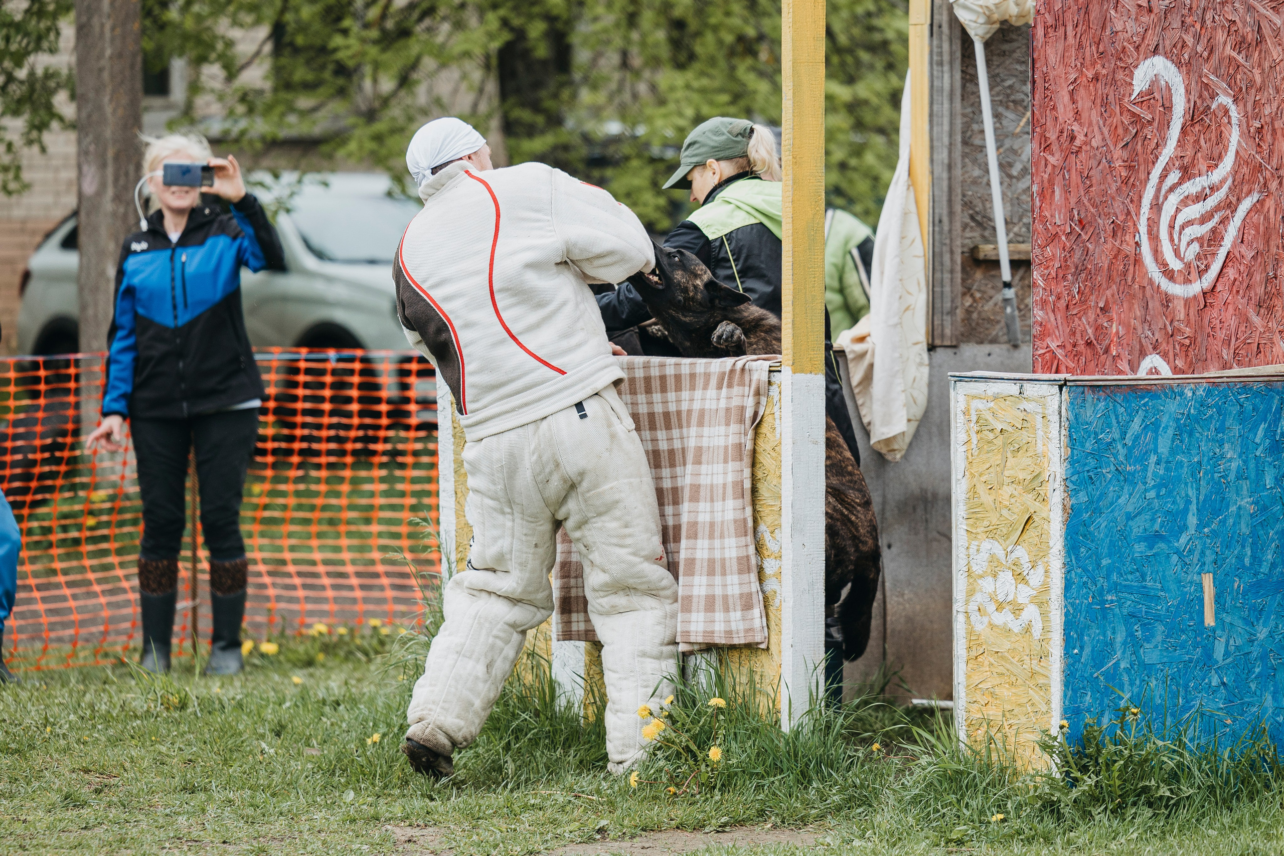 26.05.25 г. Пушкин квалификационные соревнования. Фотограф-анималист Анна Маринич