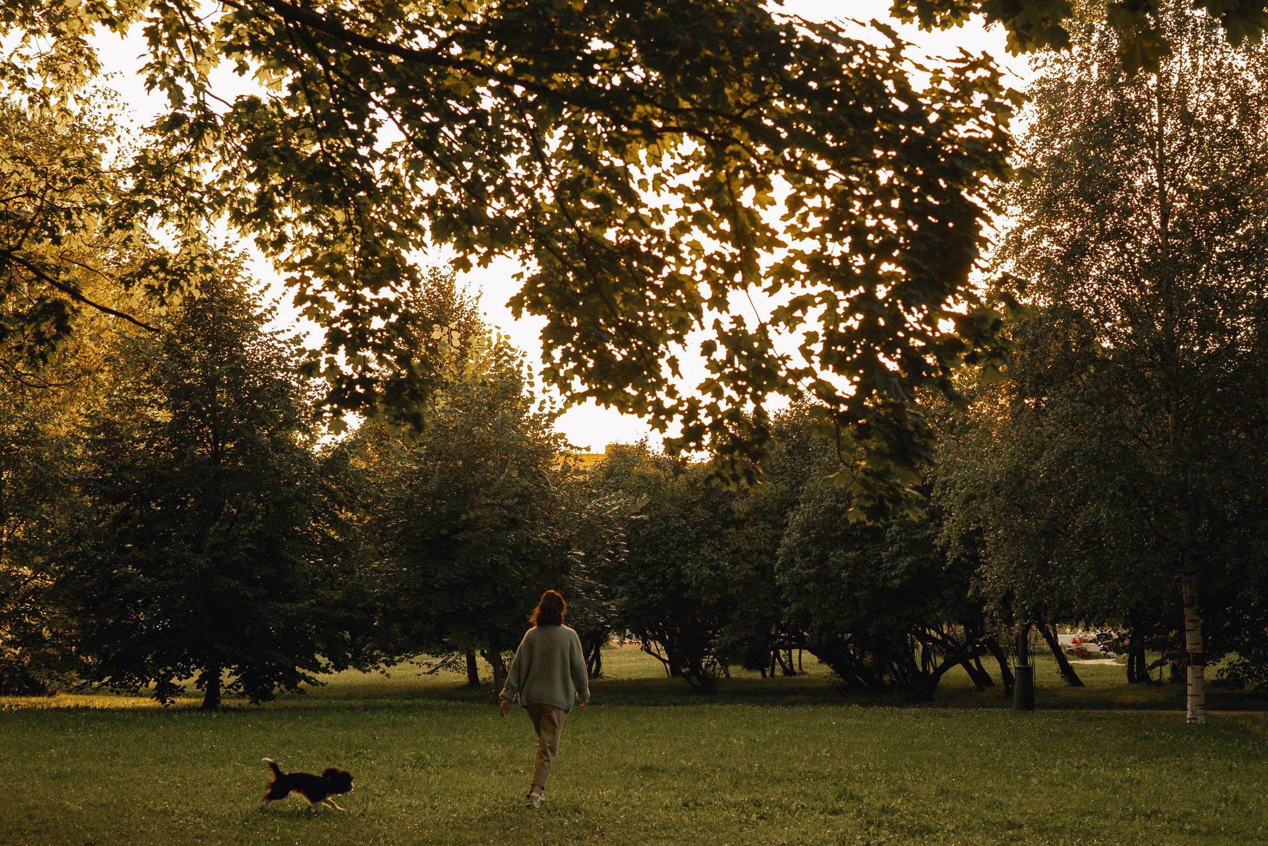 Один день из жизни Стеши и её родных. Фотограф — анималист •love-story•|Санкт-Петербург