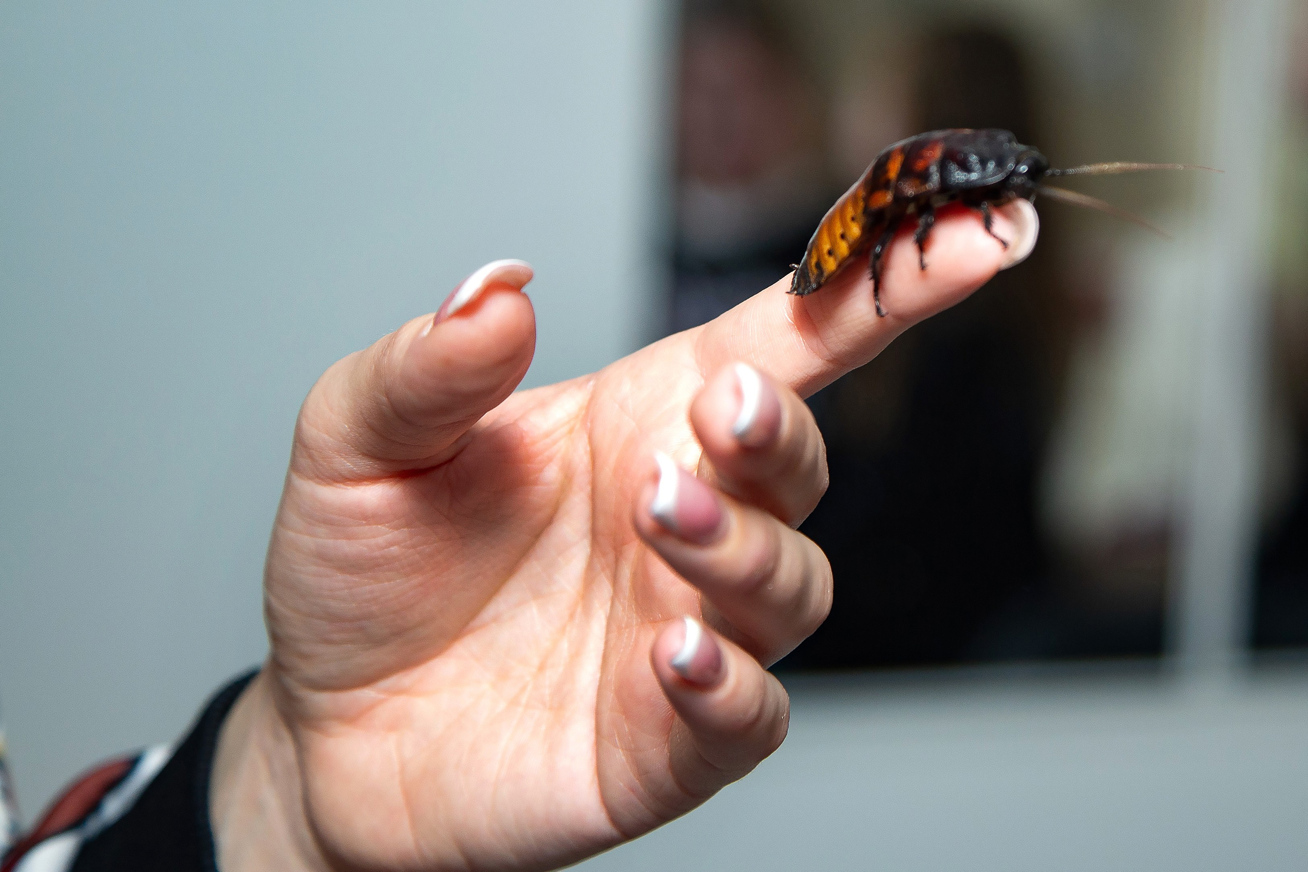 Детские день рождения. Фотограф Краснодара, фотограф в парке Галецкого.репортажный фотограф. детский фотограф, свадебный фотограф. профессиональный фотограф