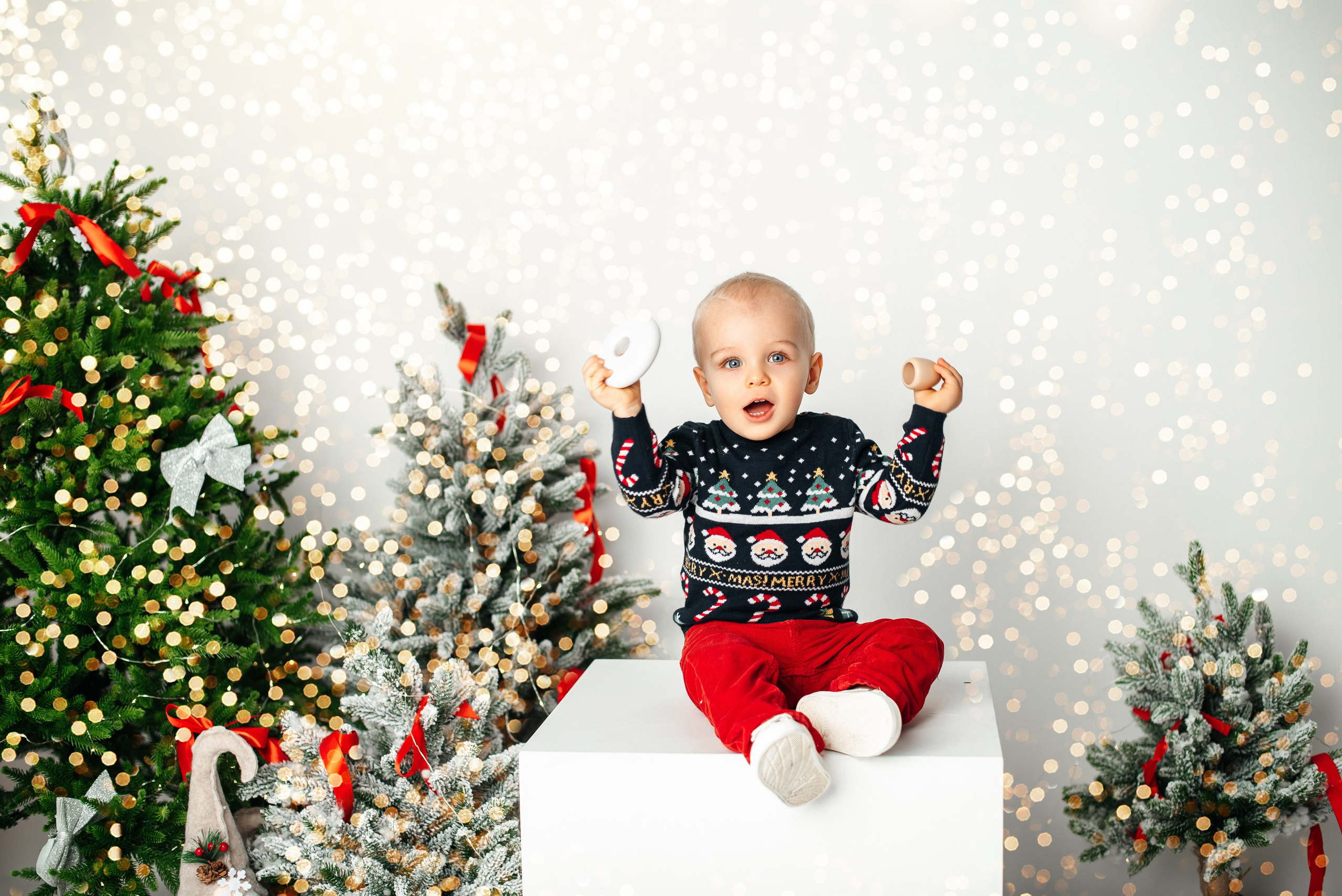 Новый год. Фотограф новорожденных и беременности Сергиев Посад Усачева Ирина