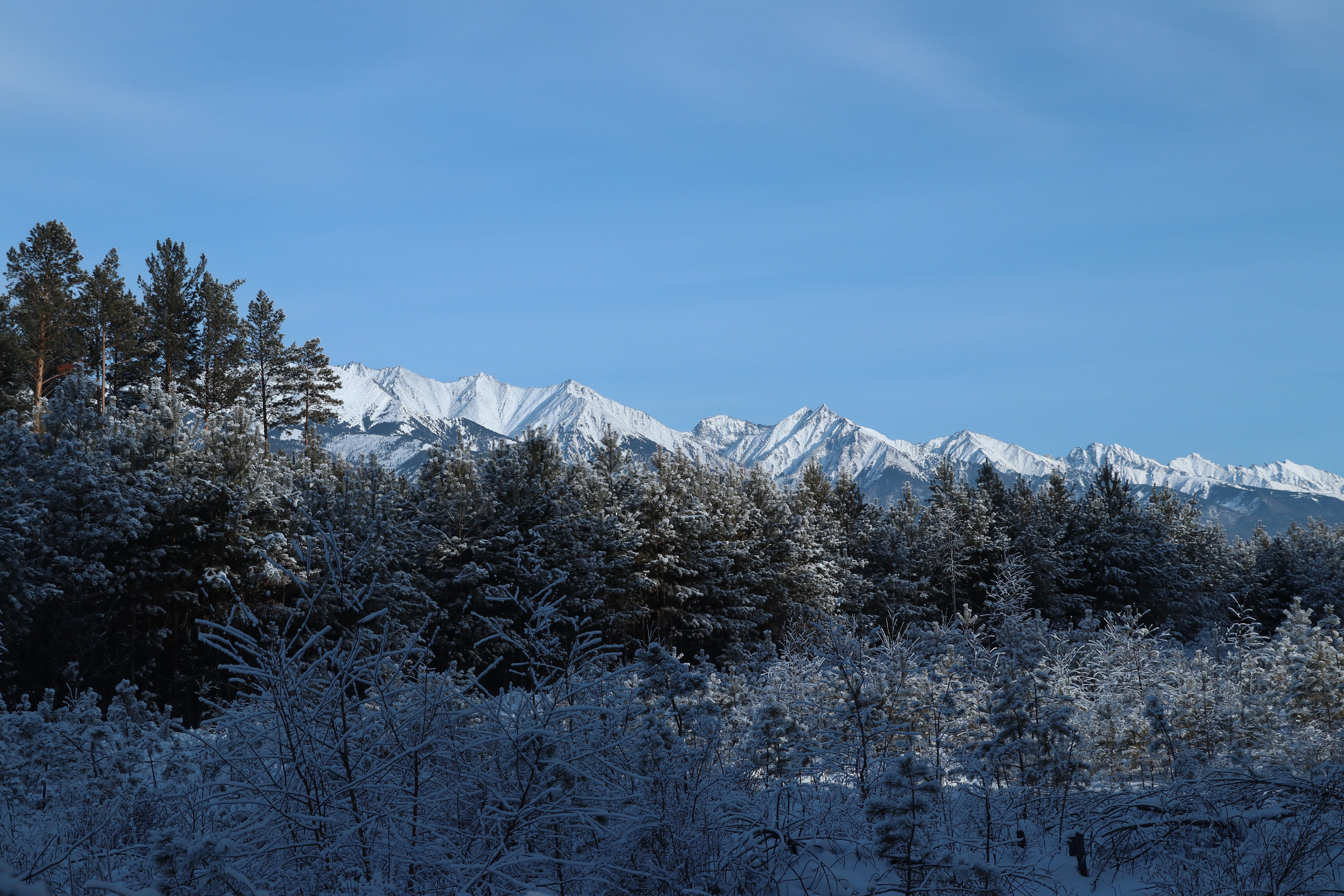 Аршан. Январь 2024. Путешественник-фотограф из Санкт-Петербурга Татьяна Свистулина