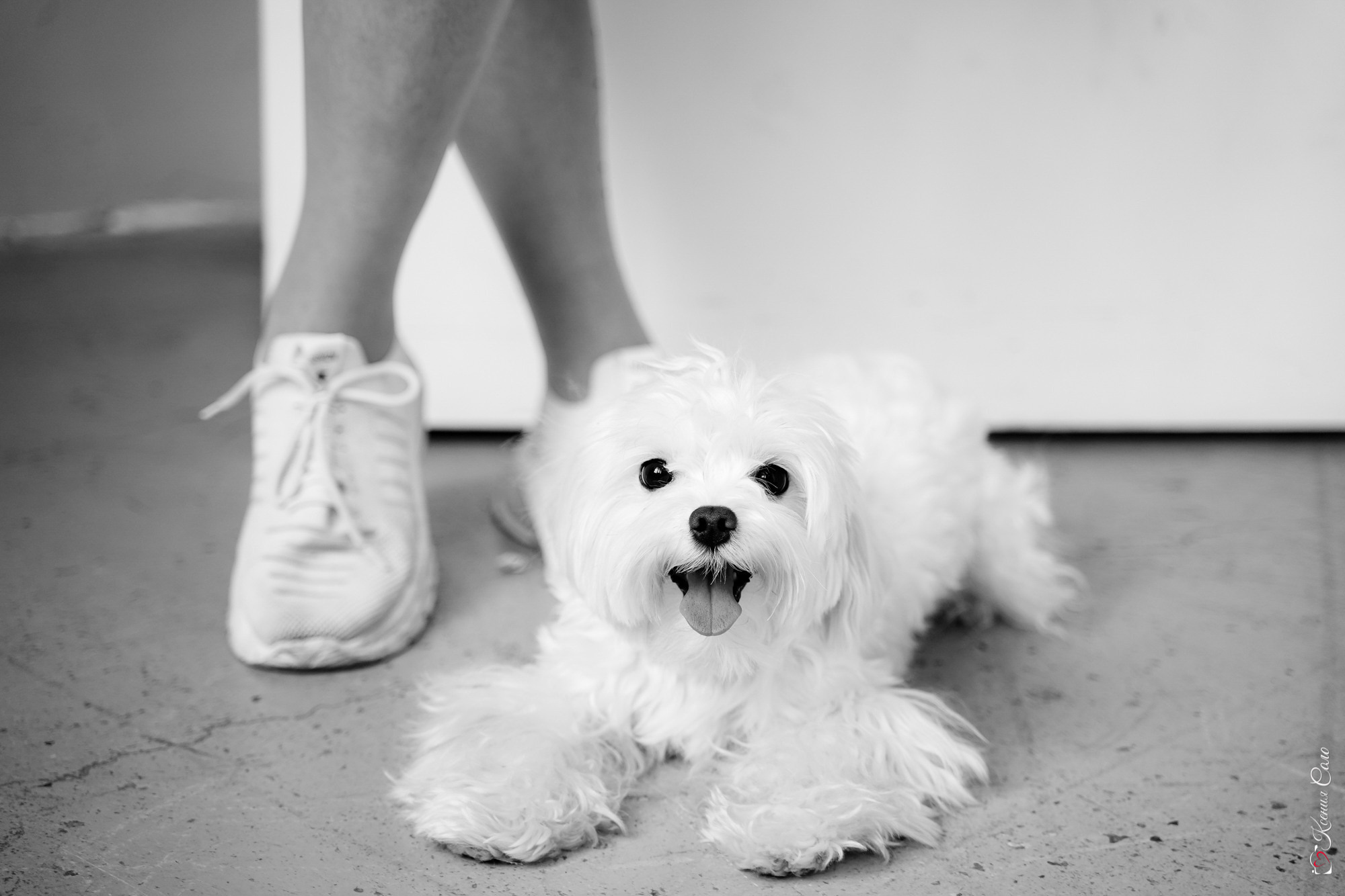 Наташа и Бадди. Фотограф Ксения Соло