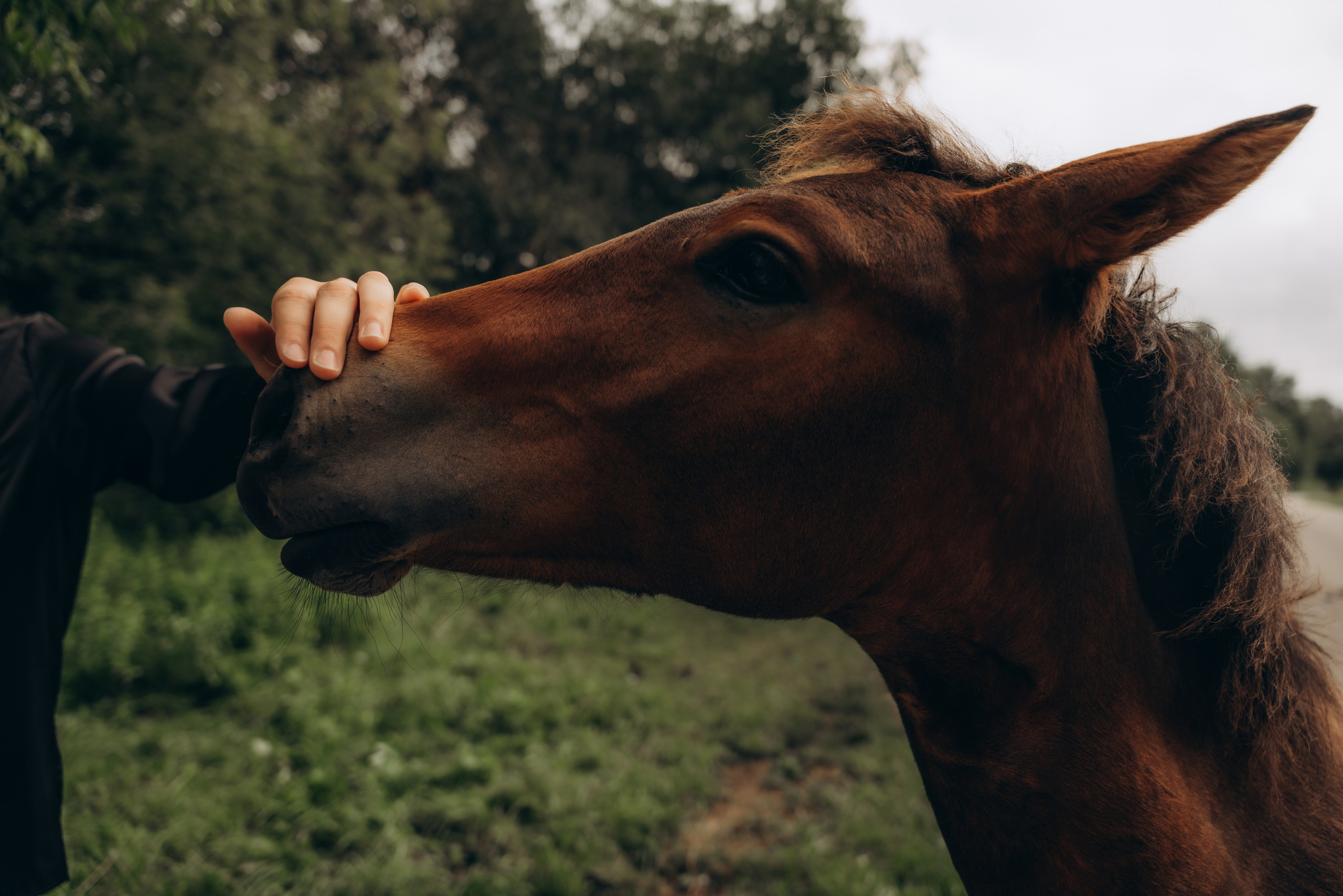 Полина + Ян. Фотограф Мария Миллс | Минск
