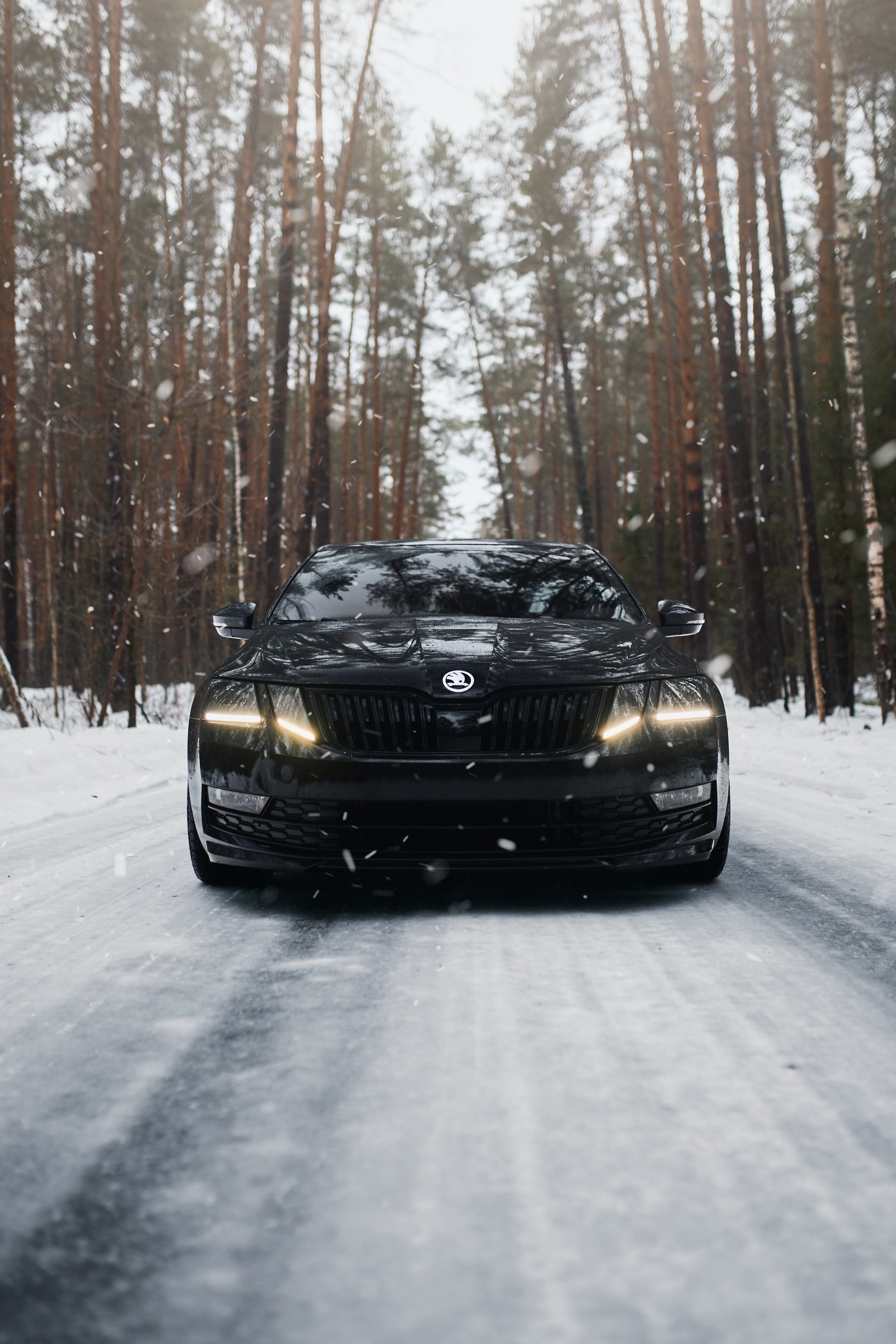 Skoda Octavia | @fuck_credit. DKARPOCHEVA PHOTOGRAPHY