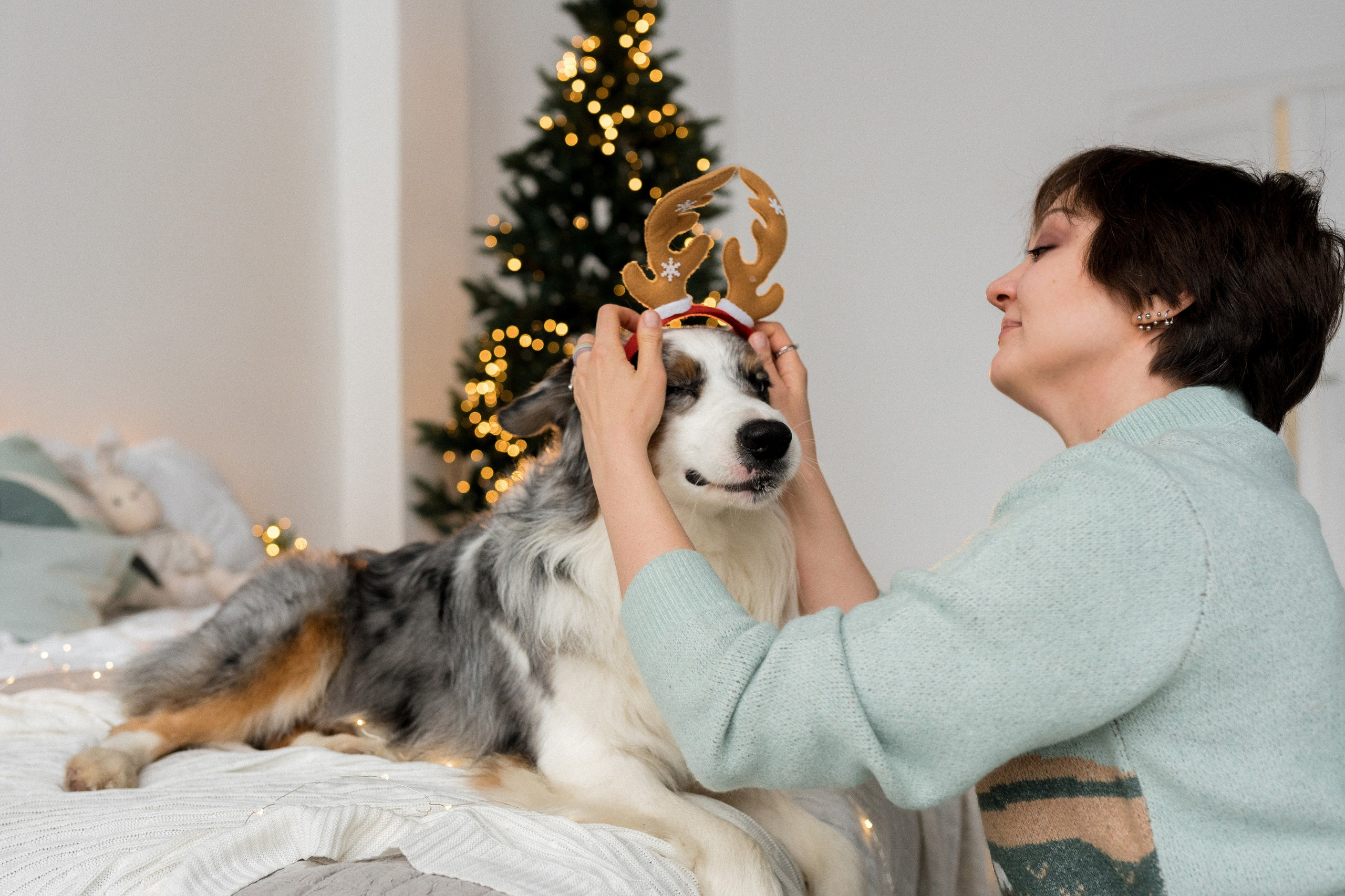 Новогоднее студия. Свадебный фотограф в Москве Анна Полушина