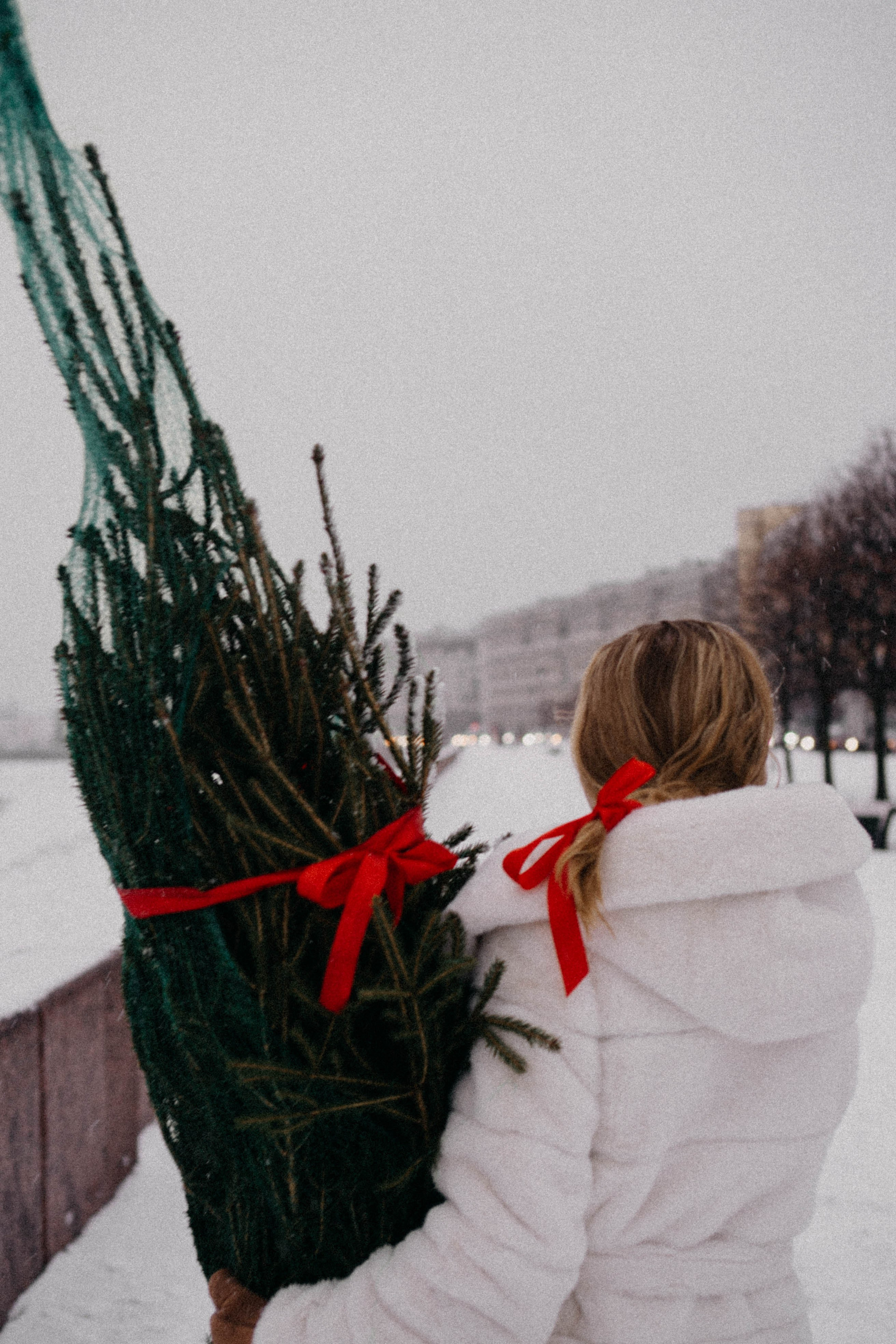 Новогодняя. Профессиональный фотограф, Санкт-Петербург — Виктория Богомолова
