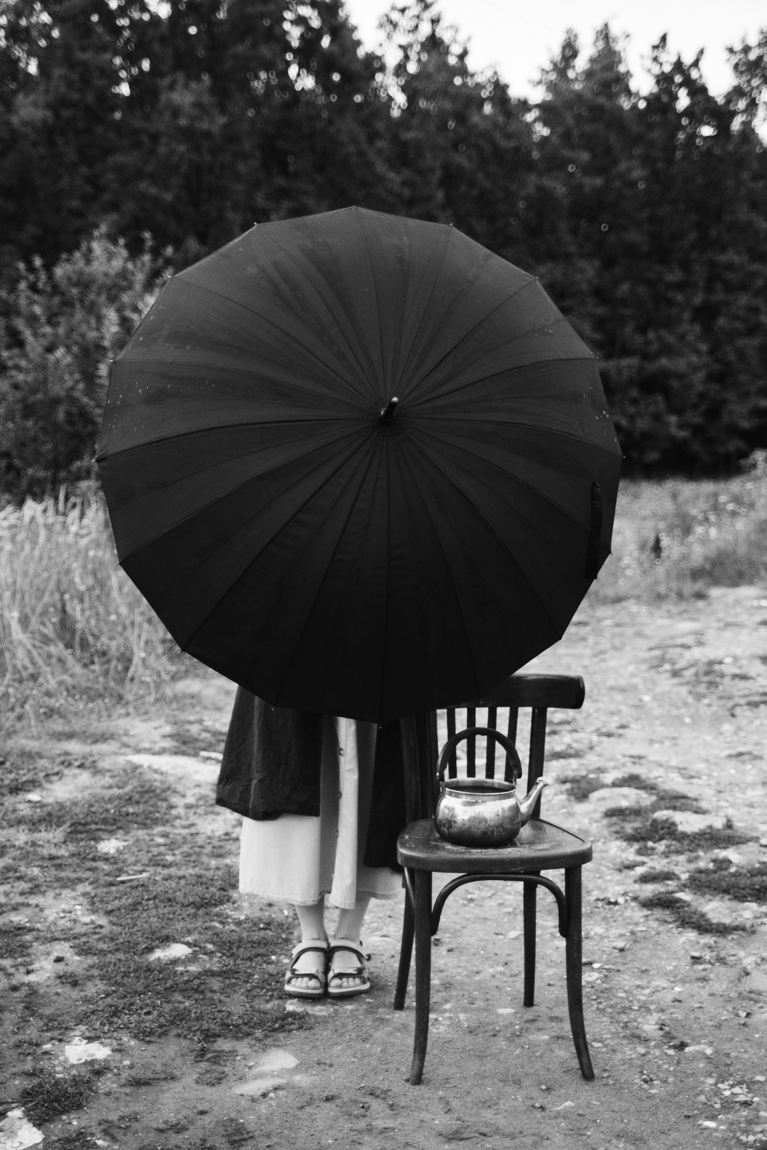 Ви. Главная