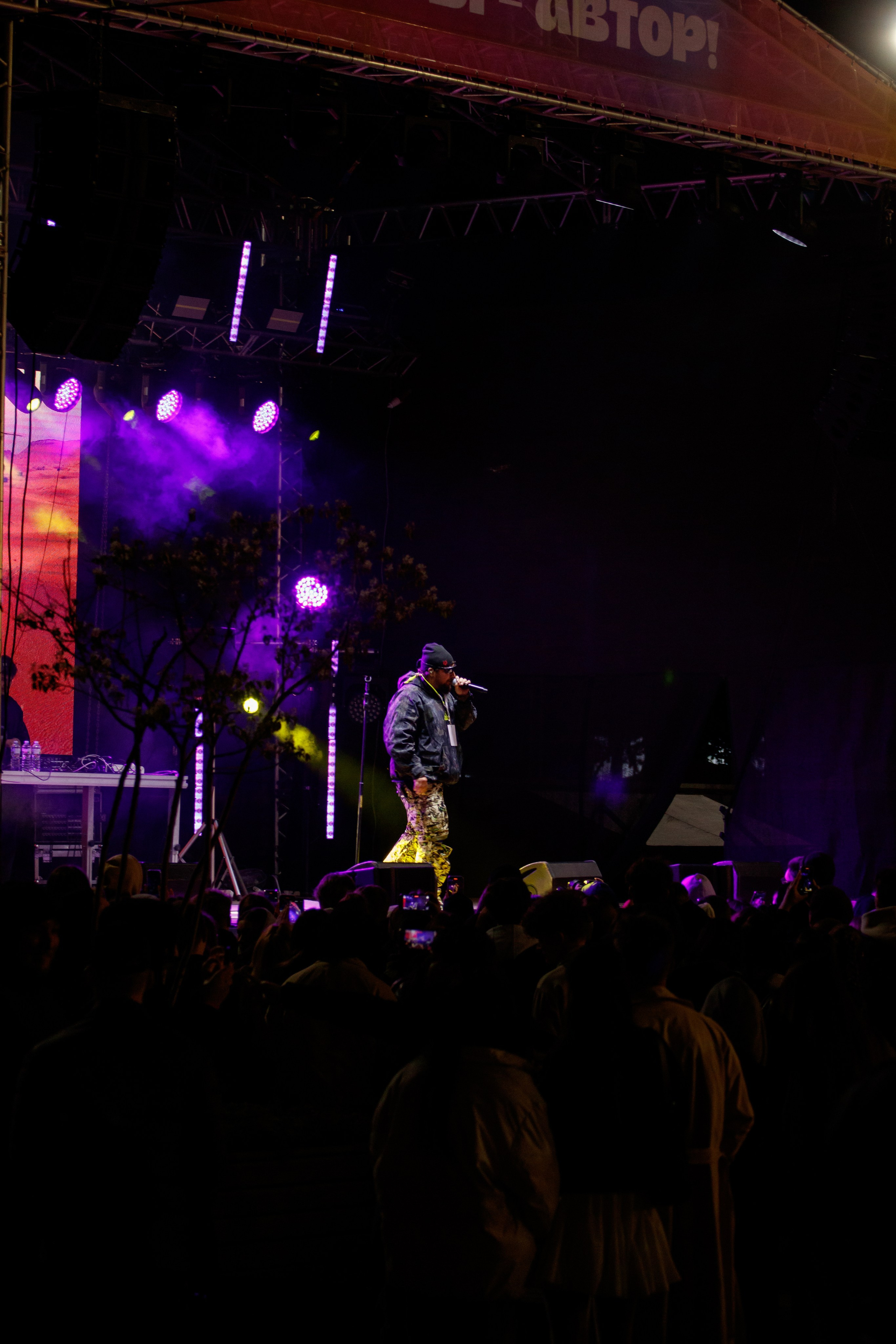 Thomas Mraz. Концертный фотограф