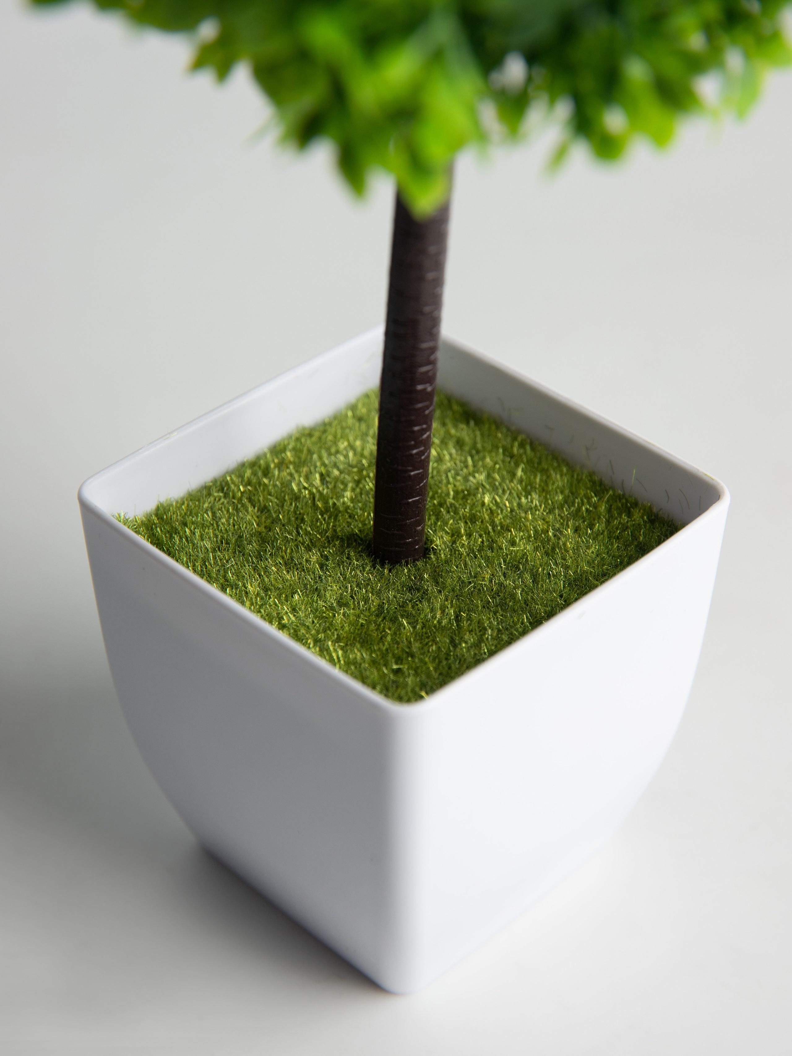 Декоративные деревья. Коммерческий фотограф в Санкт-Петербурге (СПб) Екатерина Панчёха, Панчёшка