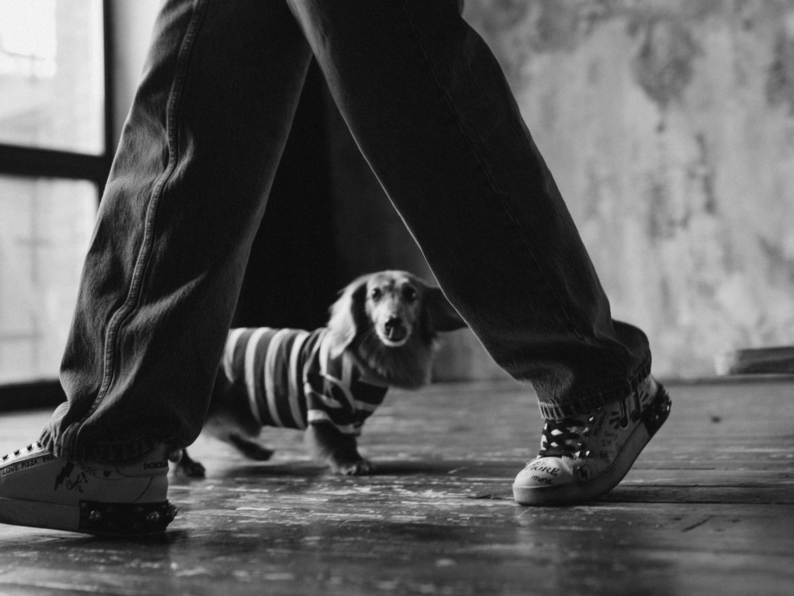 Лимон и Аня. Фотограф-анималист в Москве Кириллова Татьяна