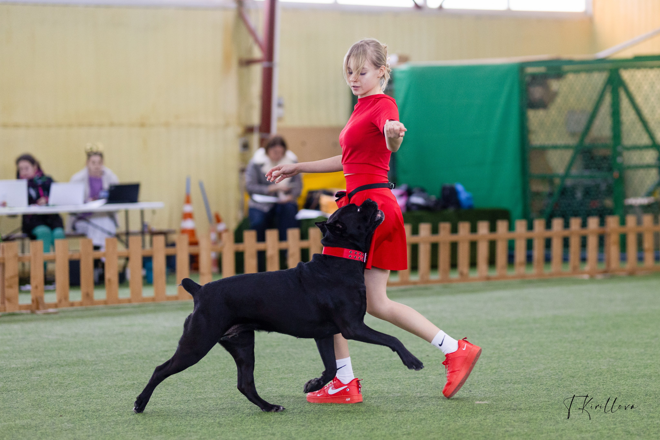 Соревнования танцы. Фотограф-анималист в Москве Кириллова Татьяна
