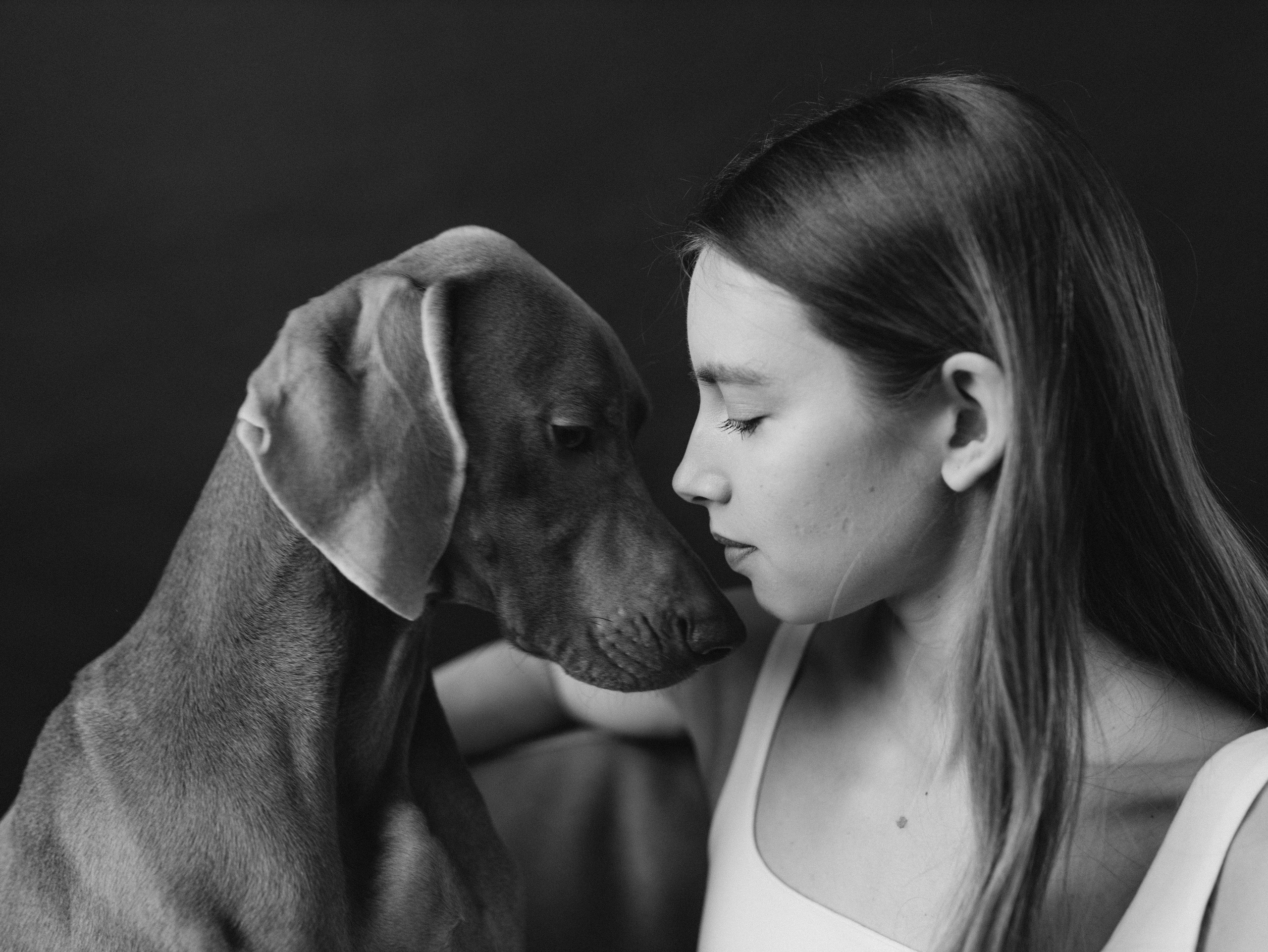 Сенча и Даша. Фотограф-анималист в Москве Кириллова Татьяна