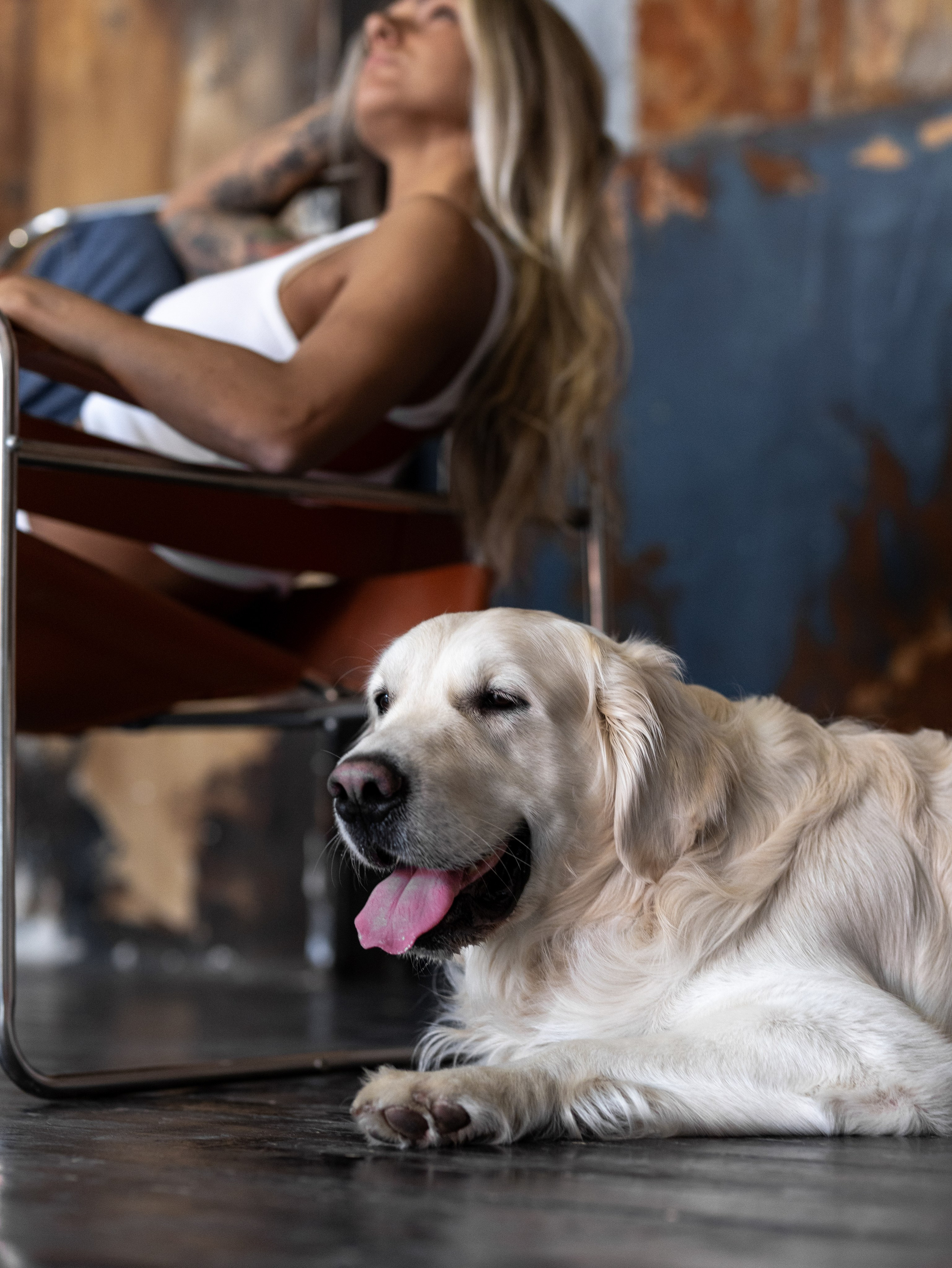 Энди и Настя. Фотограф-анималист в Москве Кириллова Татьяна