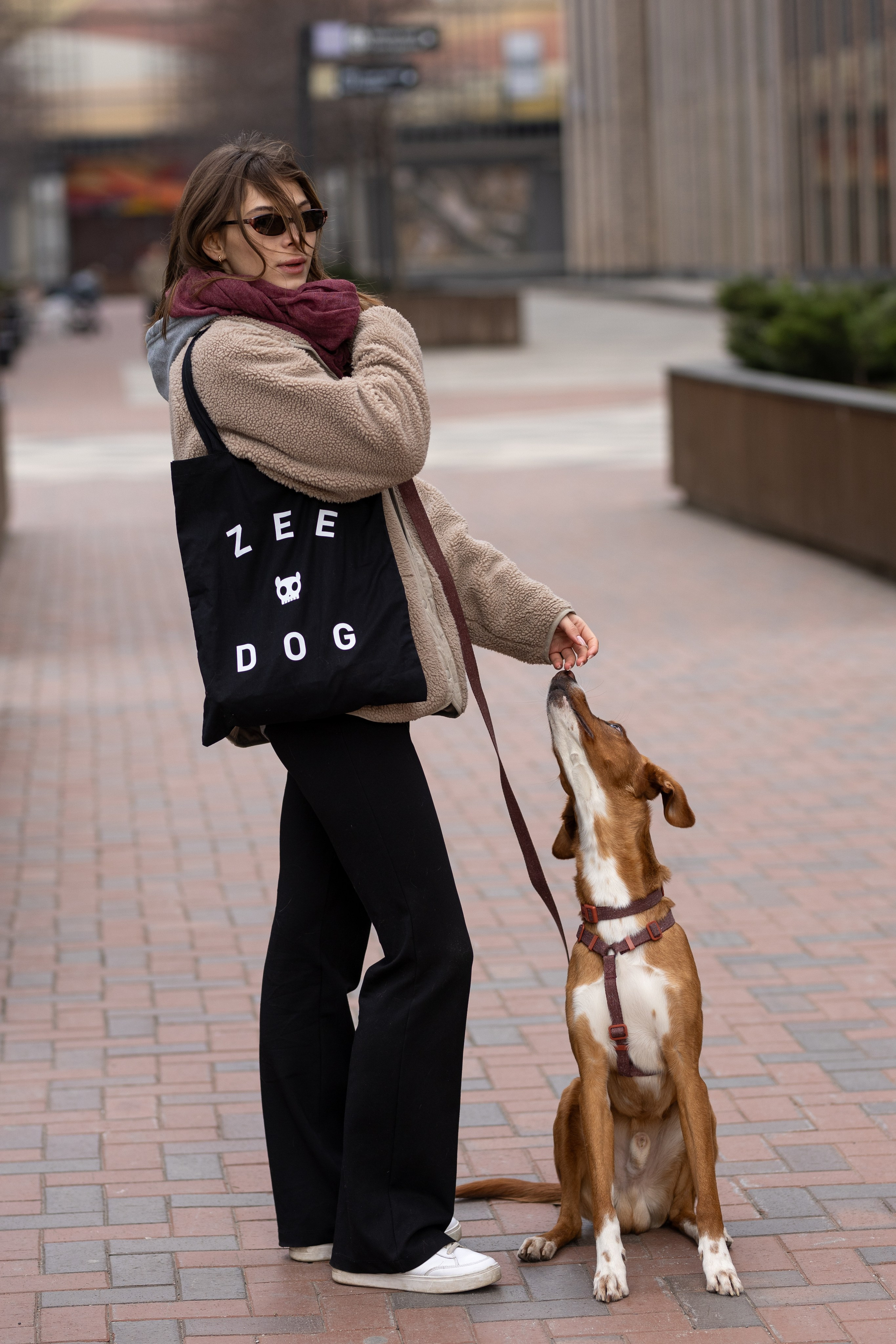 Съемка для бренда ZeeDog. Фотограф-анималист в Москве Кириллова Татьяна