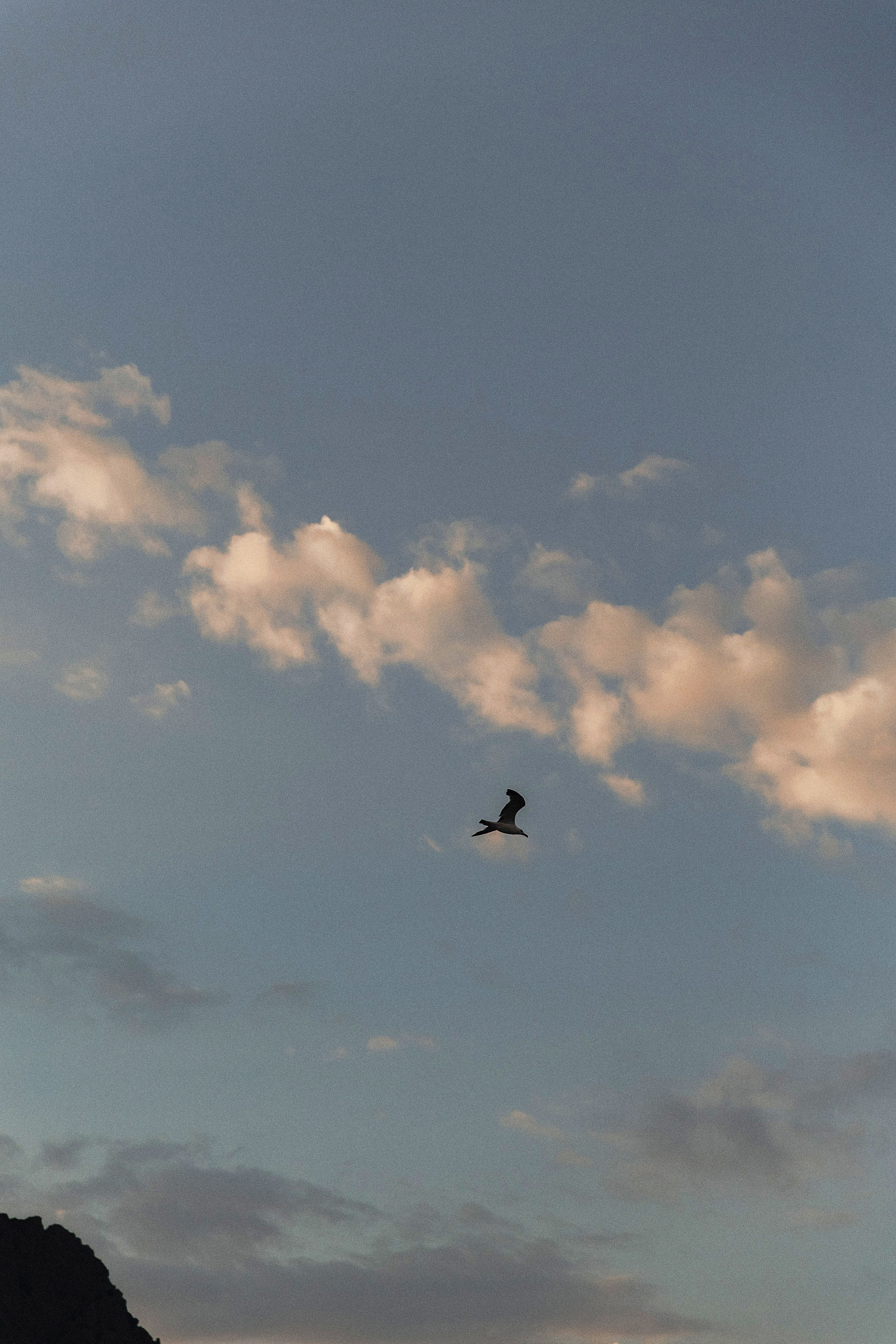 Maria & Dima. Свадебный фотограф в Севастополе и Крыму| Tanya Sher