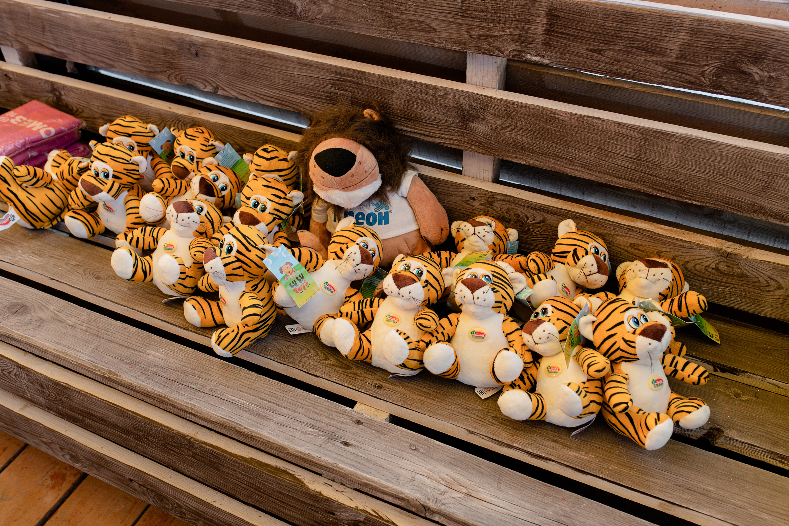 Корпоративное мероприятие ГКБ № 1 — Курочкино. Свадебный фотограф Екатеринбург/Челябинск — Любовь Волохова