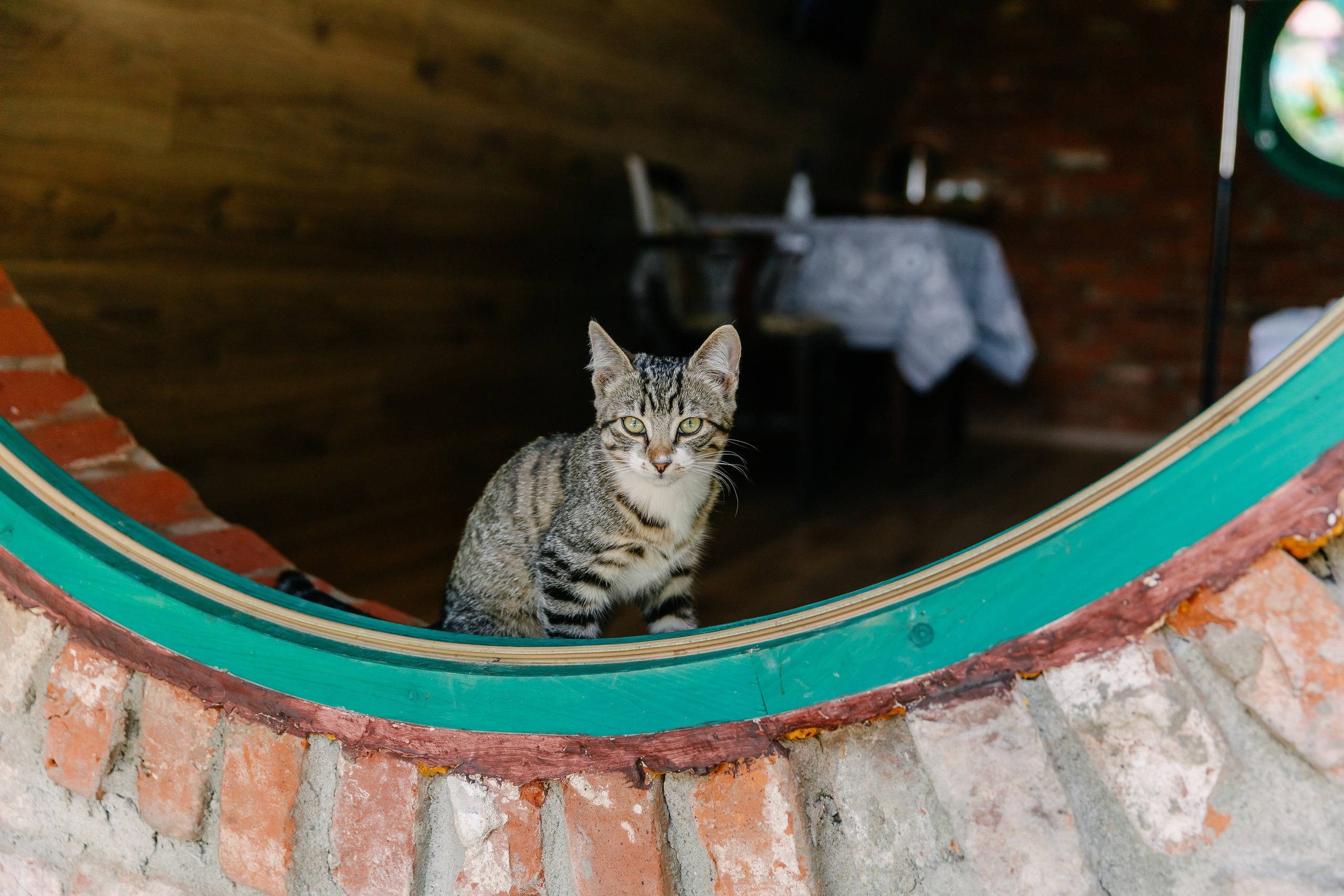 Съёмка объекта недвижимости Хутор Нёттникен. Свадебный, семейный и детский фотограф в Калининграде Елена Кравцова