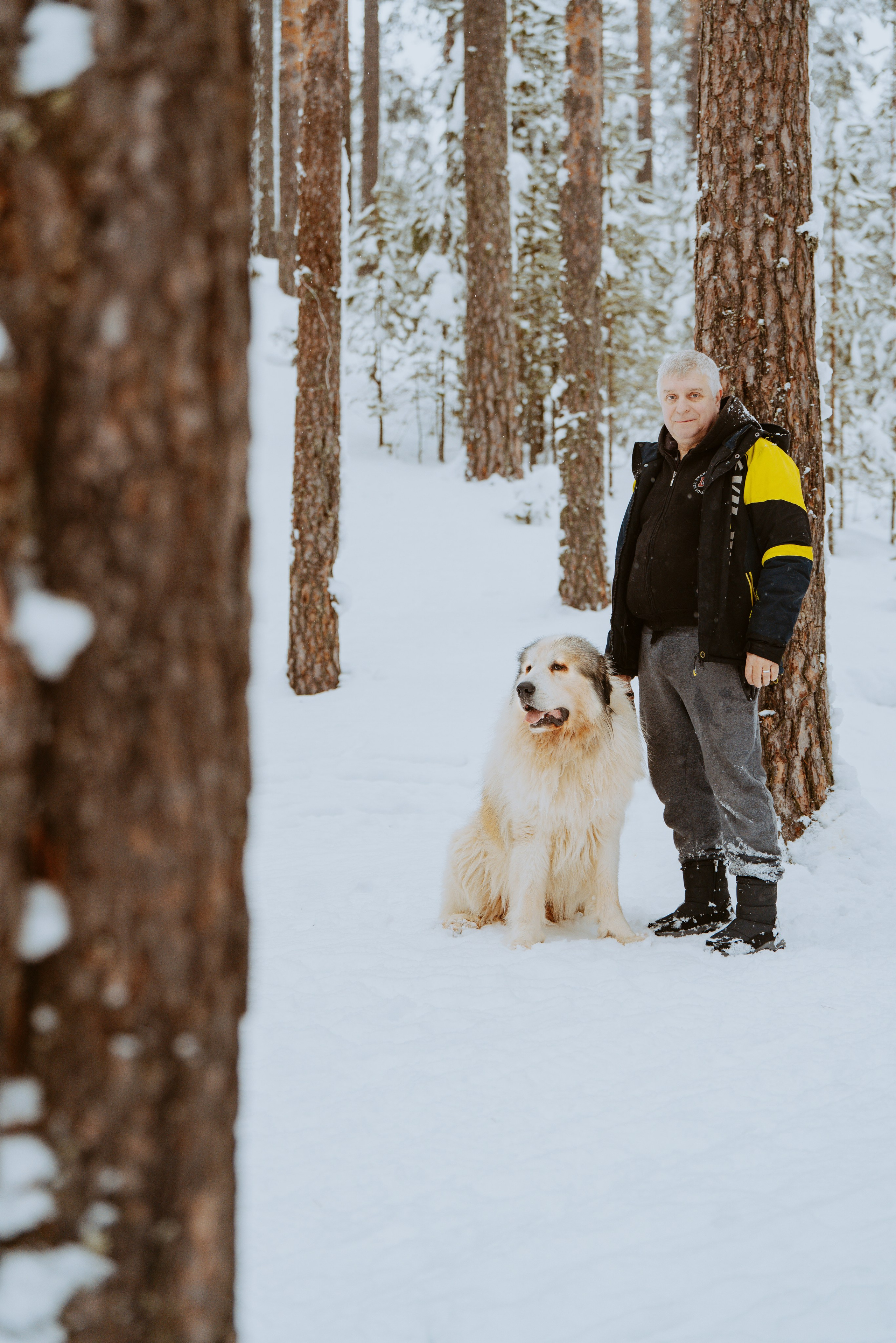 Фотограф питомцев в Санкт-Петербурге. Фотограф анималист в Спб недорого Олеся Майорова