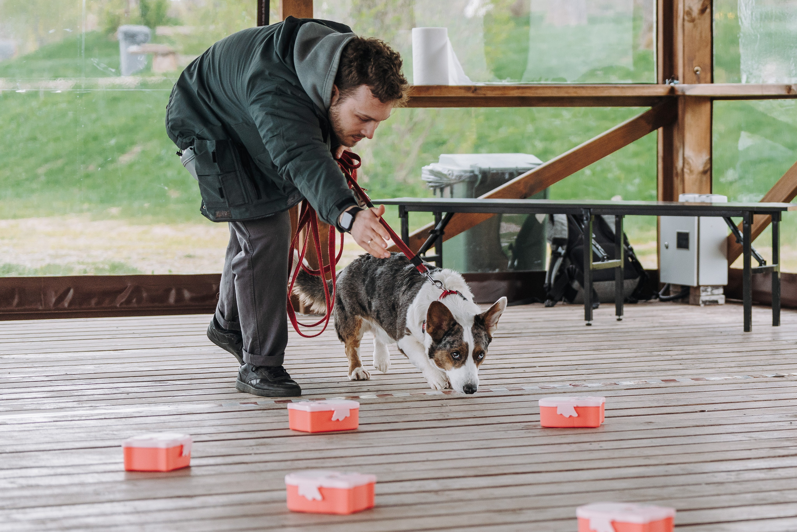Соревнования по ноузворку в Лосево. Фотограф анималист в Спб недорого Олеся Майорова