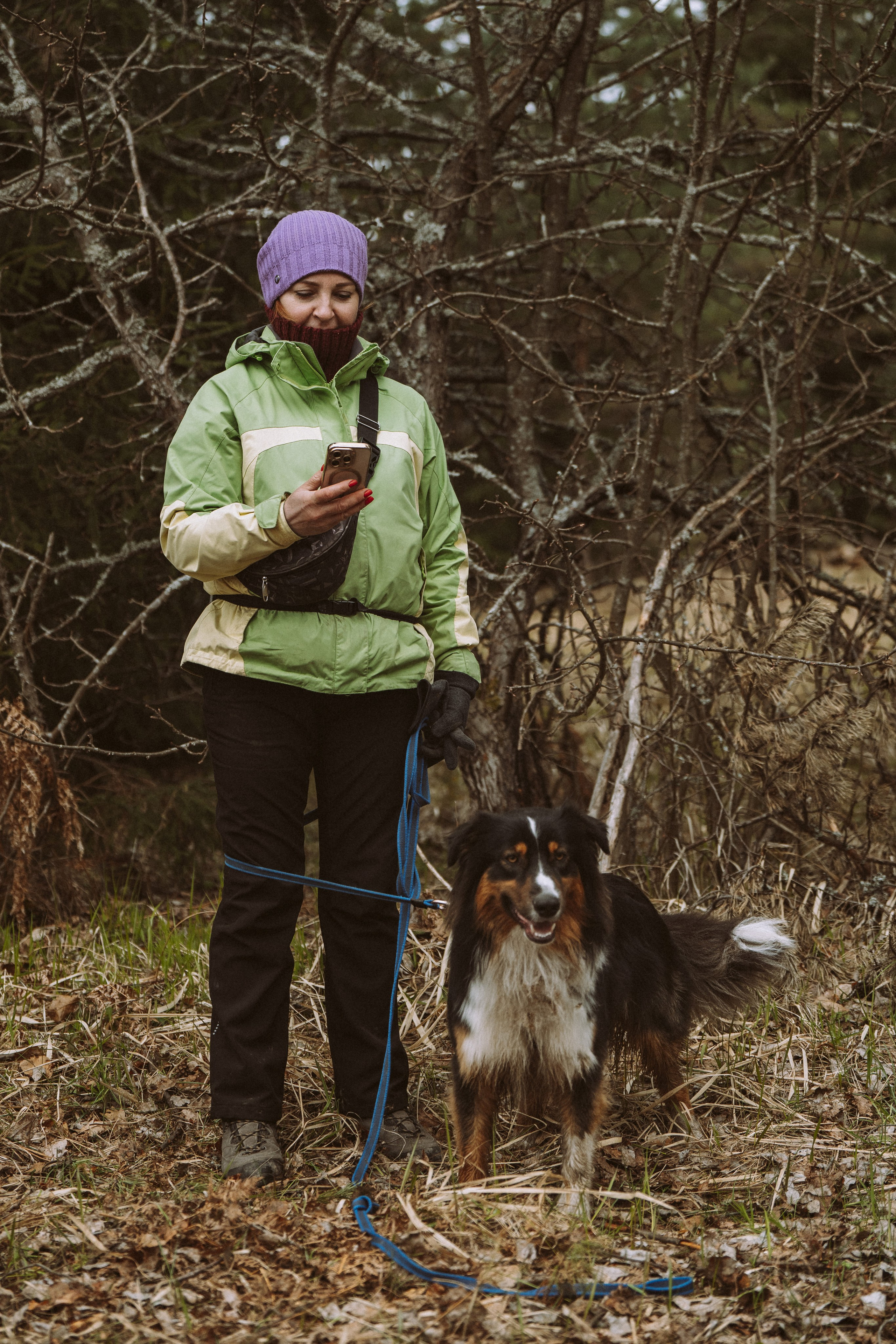 Дог трекинг к финскому хутору. Фотограф анималист в Спб недорого Олеся Майорова