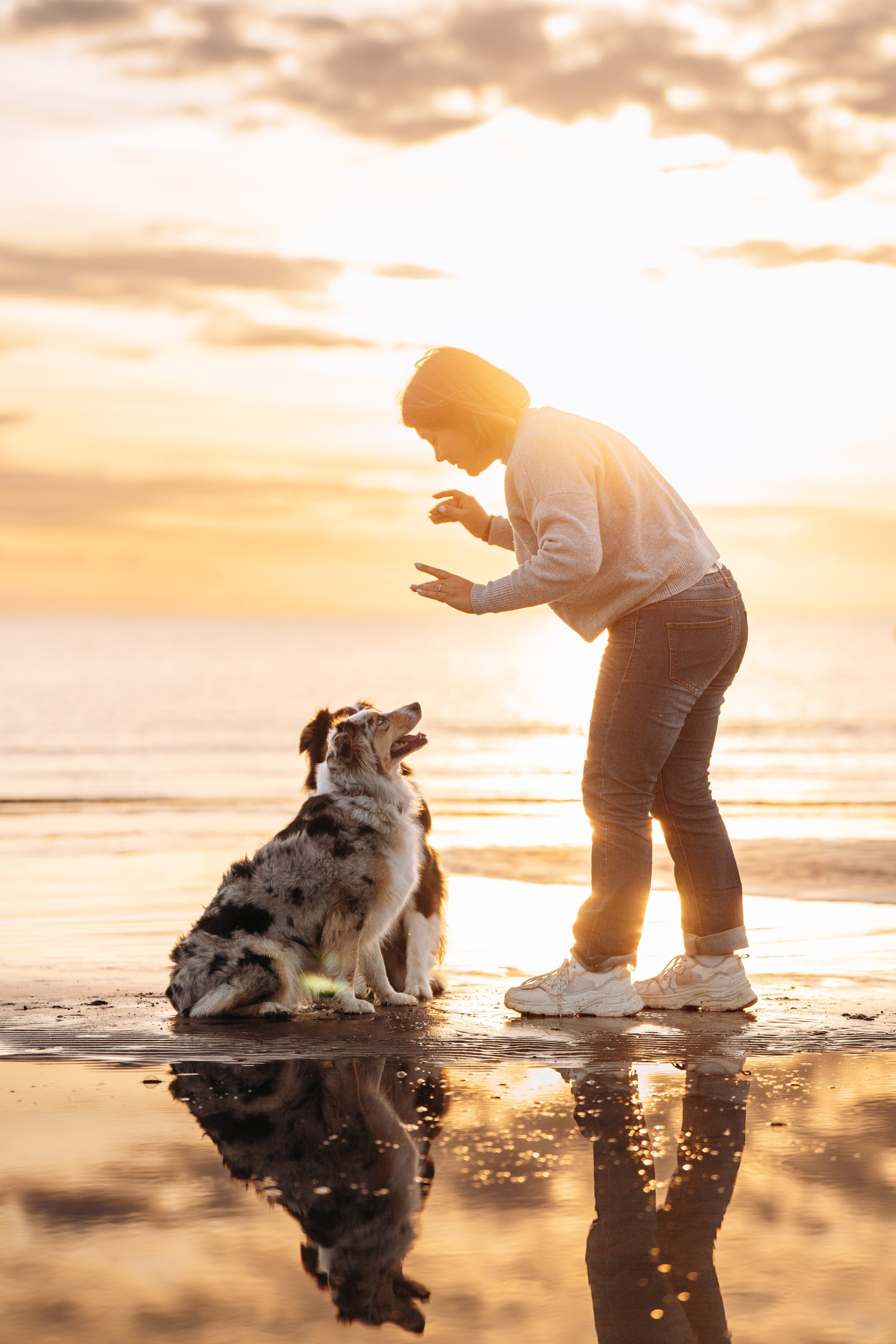 Фотограф анималист в Спб. Фотограф анималист в Спб недорого Олеся Майорова