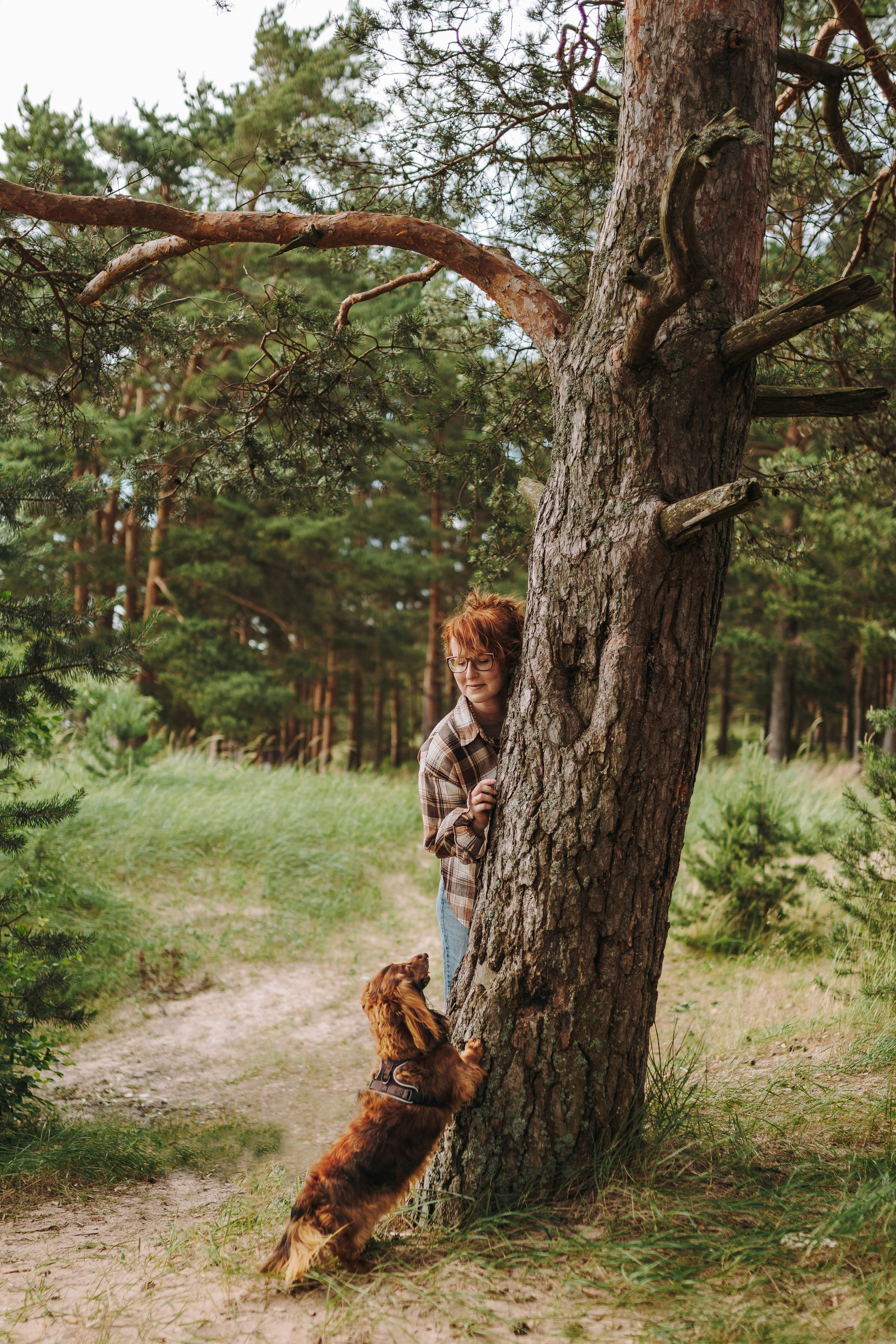 Фотосессия с длиношерстной таксой на пляжн. Фотограф анималист в Спб недорого Олеся Майорова